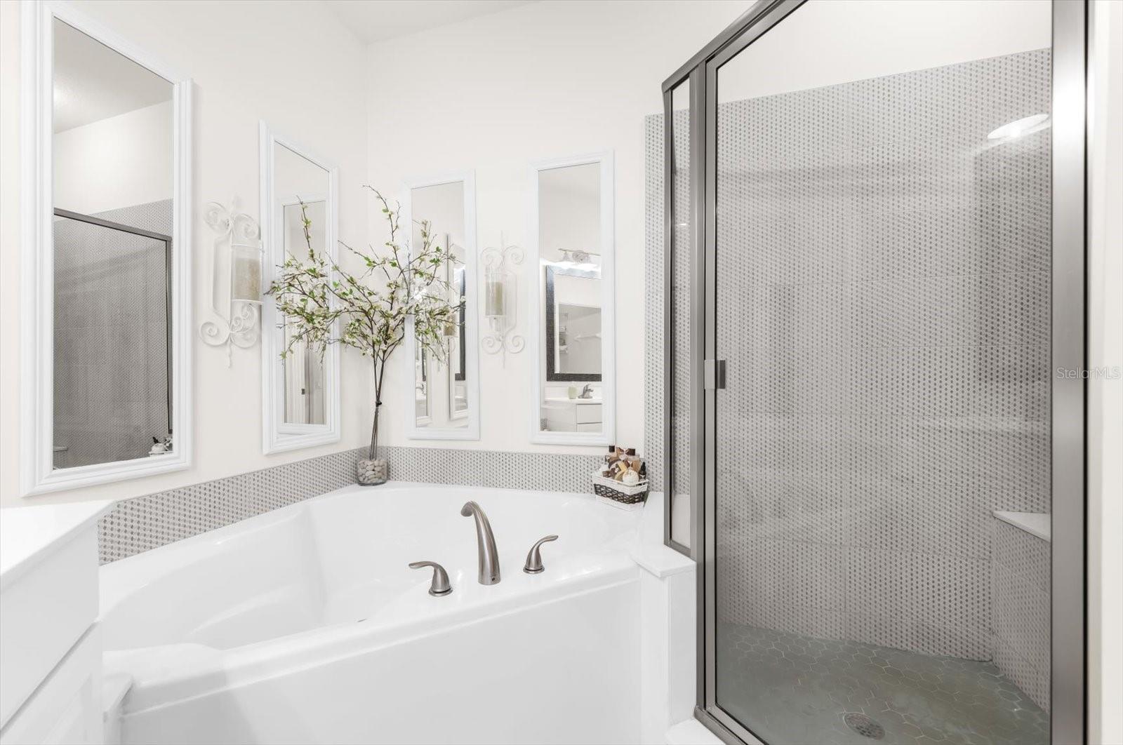 Image 56 of 73 For 4500 Streamside Court 1408