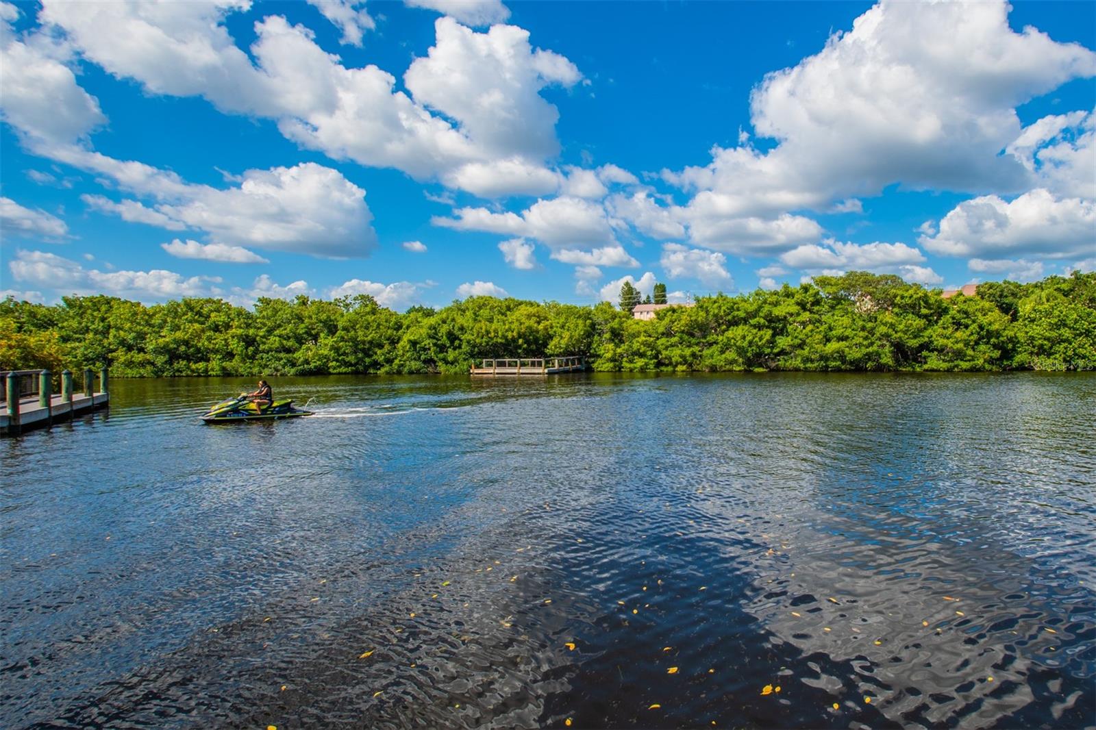 Image 54 of 71 For 8302 Midnight Pass Road