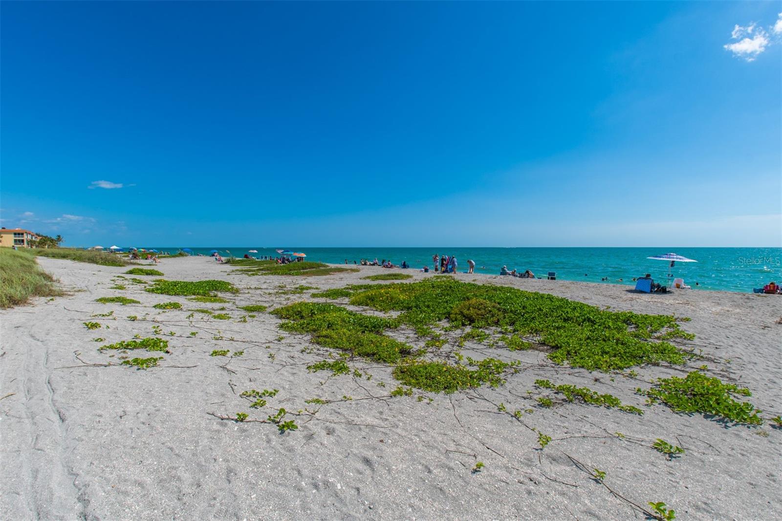 Image 69 of 71 For 8302 Midnight Pass Road