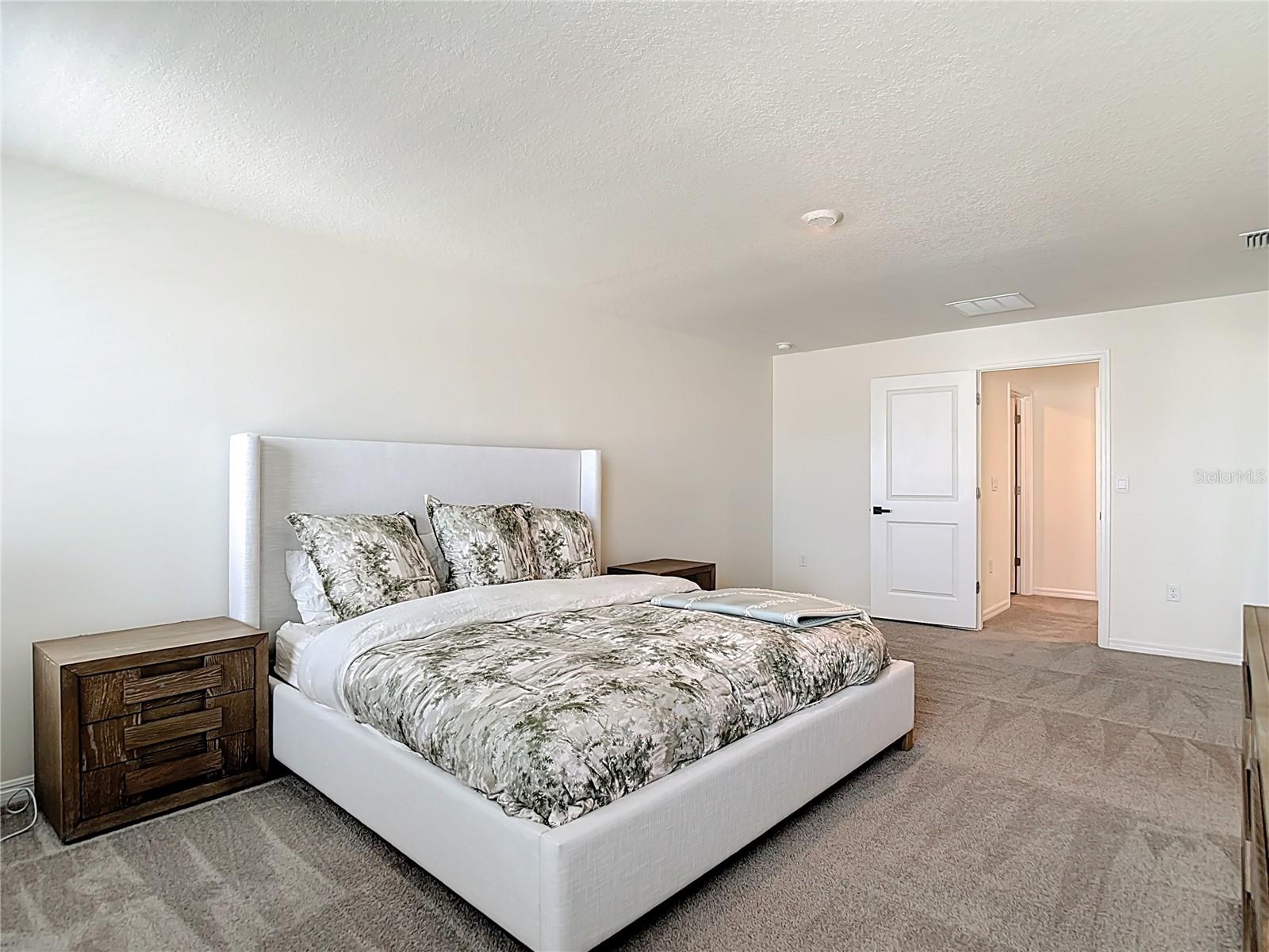 Image 42 of 59 For 9201 Sapphire Creek Place