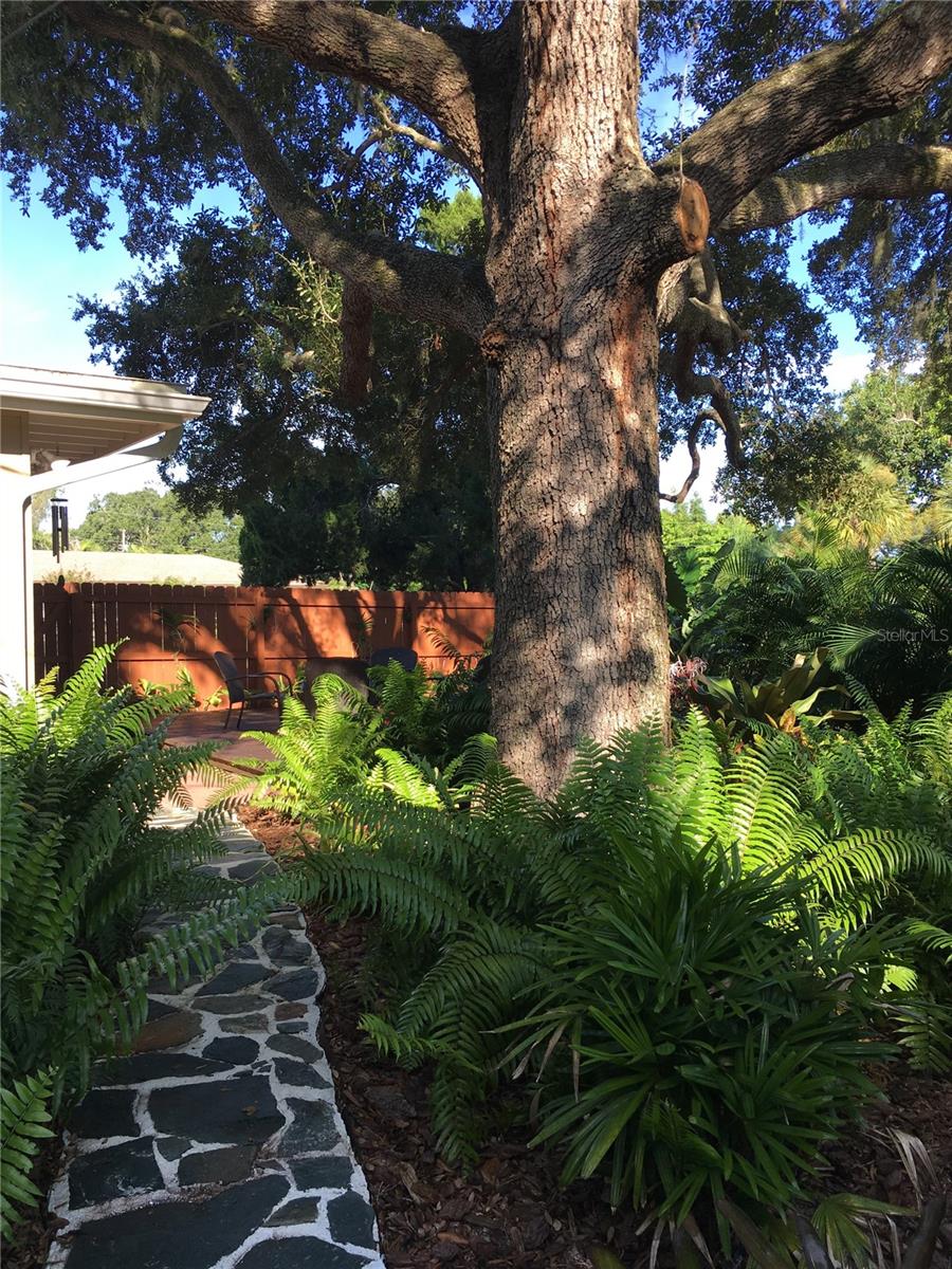 Image 27 of 45 For 1415 School Avenue