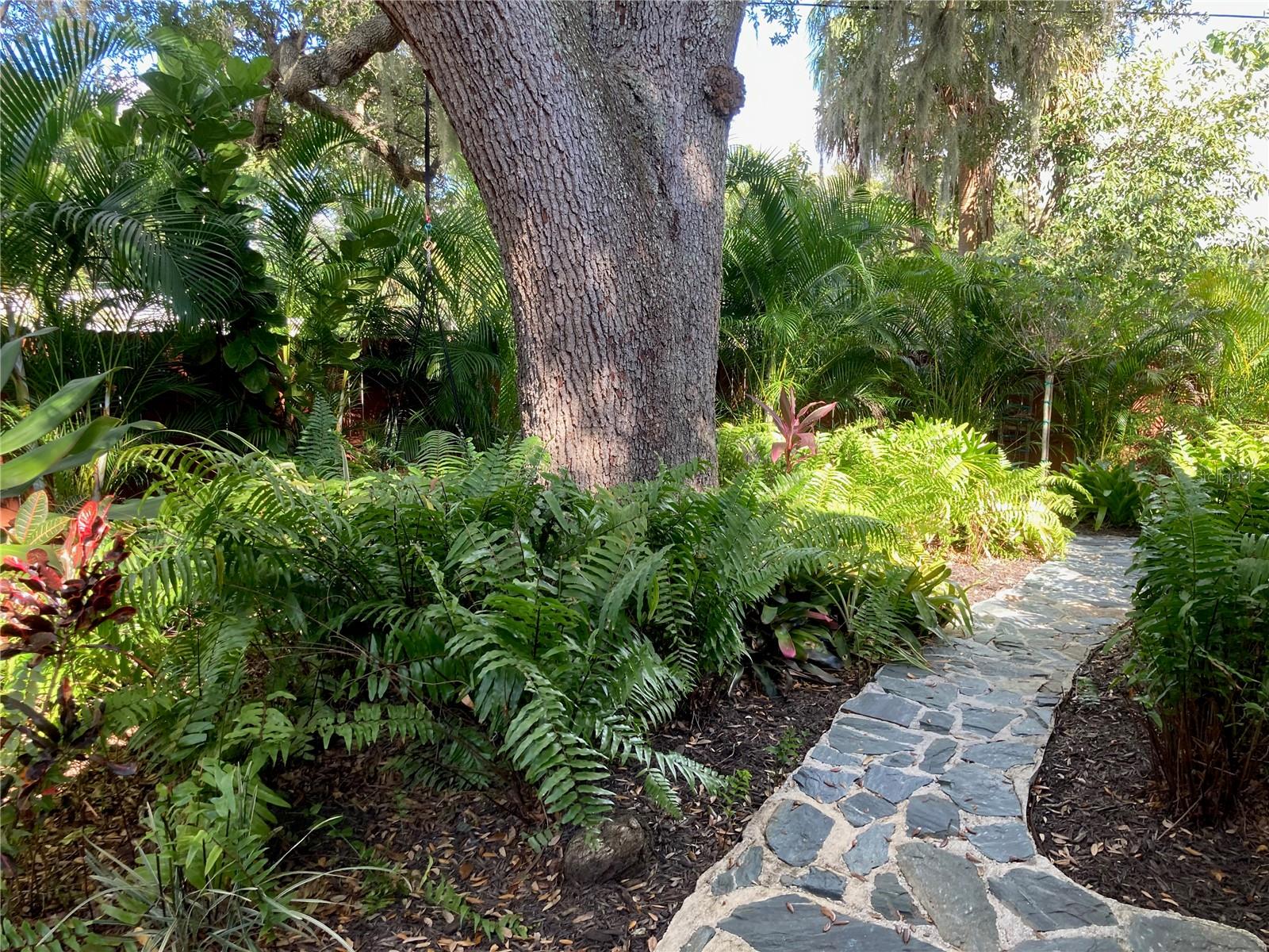 Image 28 of 45 For 1415 School Avenue