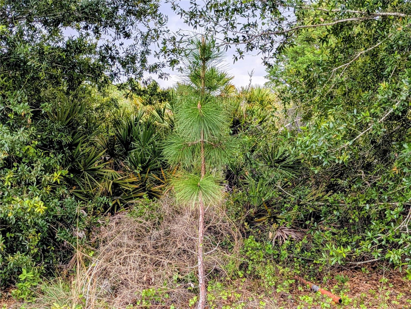 Image 4 of 8 For Callaghan Lane