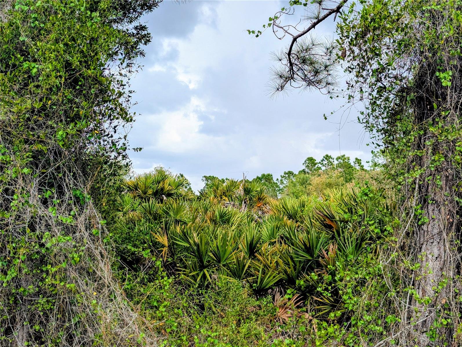 Image 5 of 8 For Callaghan Lane