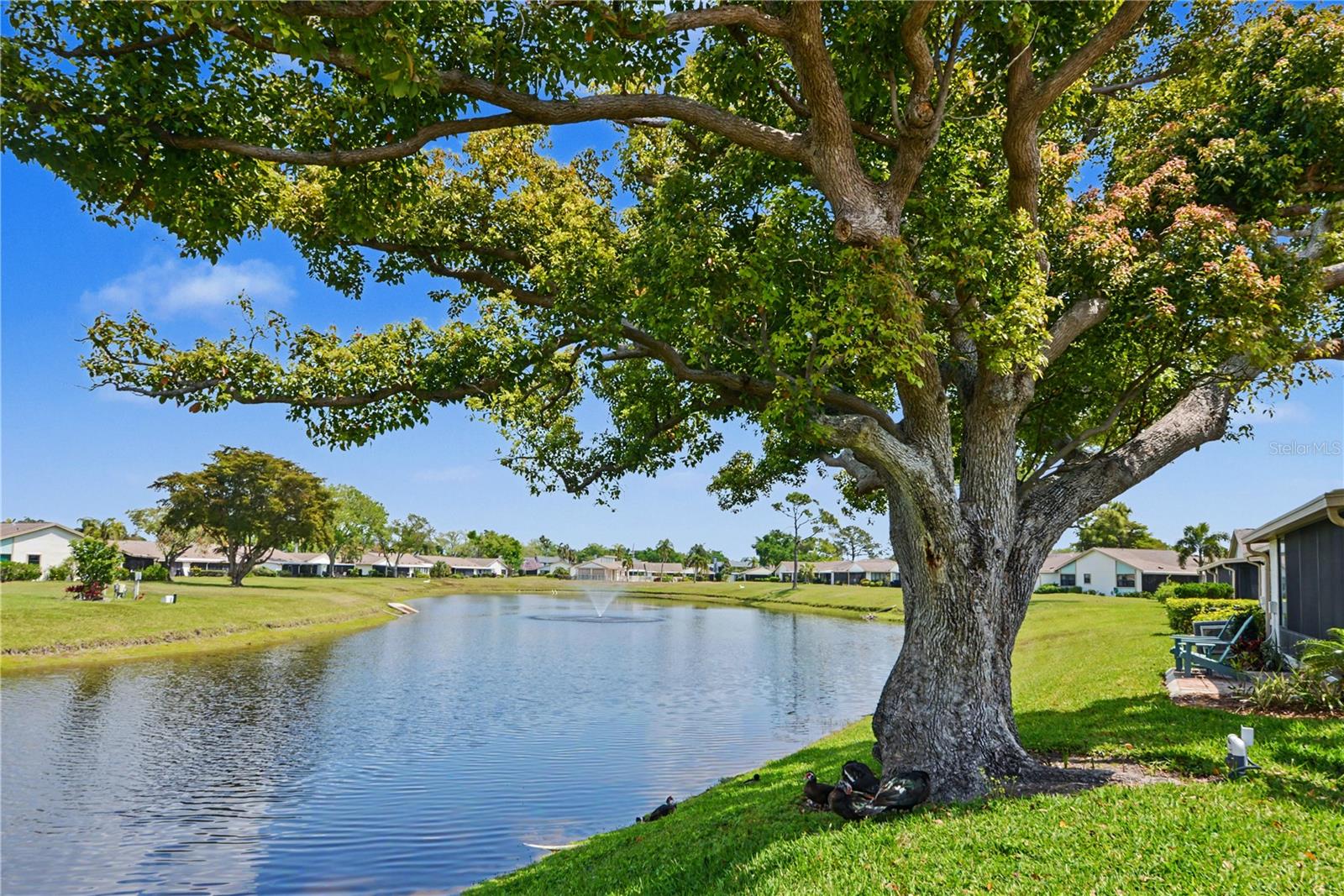 Image 30 of 45 For 6220 29th Avenue W 6220