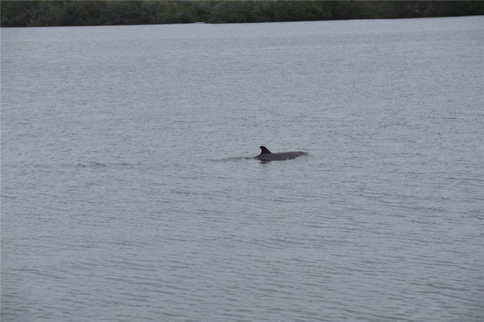 Image 33 of 51 For 3863 Catalina Drive