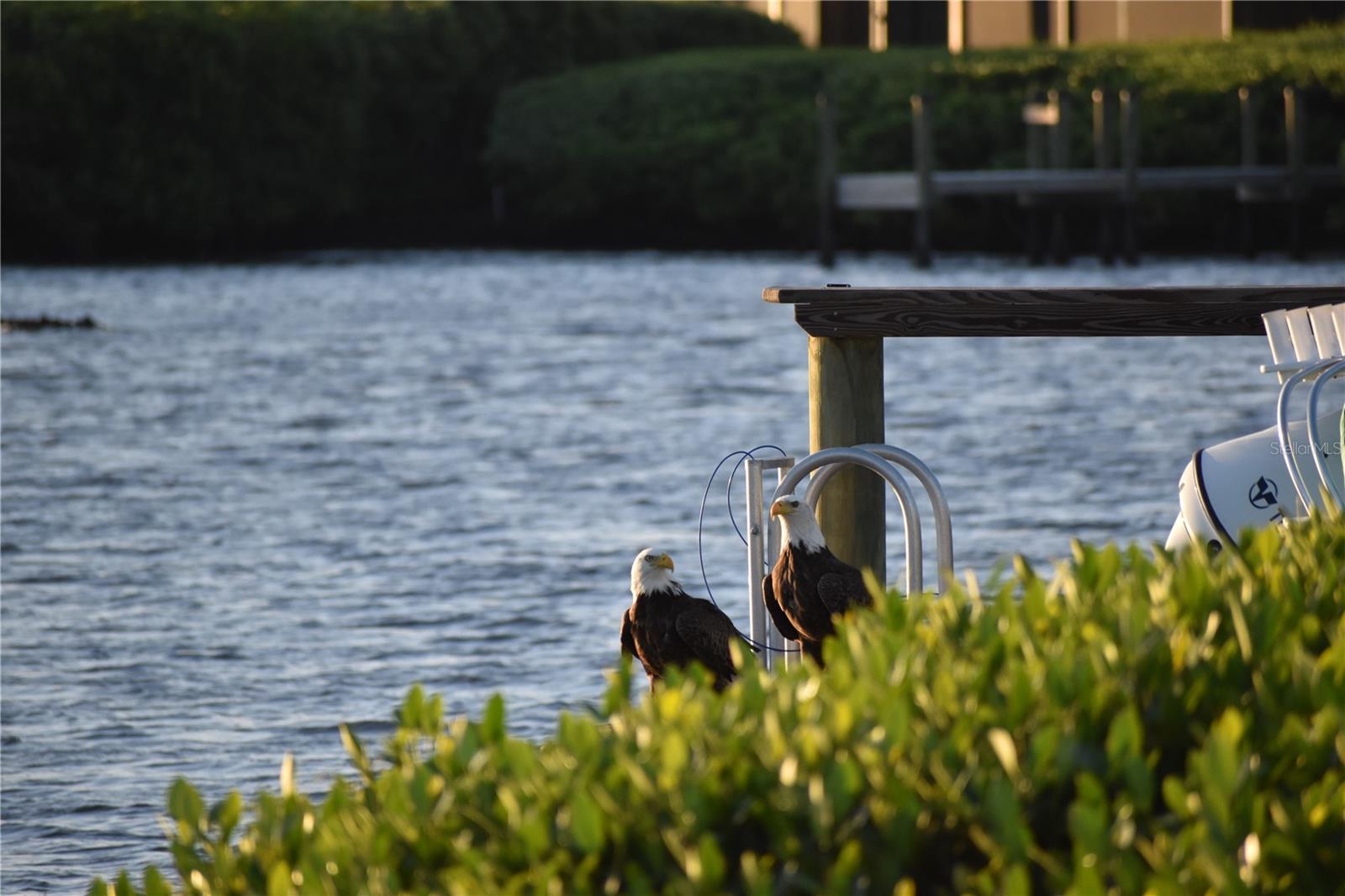 Image 34 of 51 For 3863 Catalina Drive