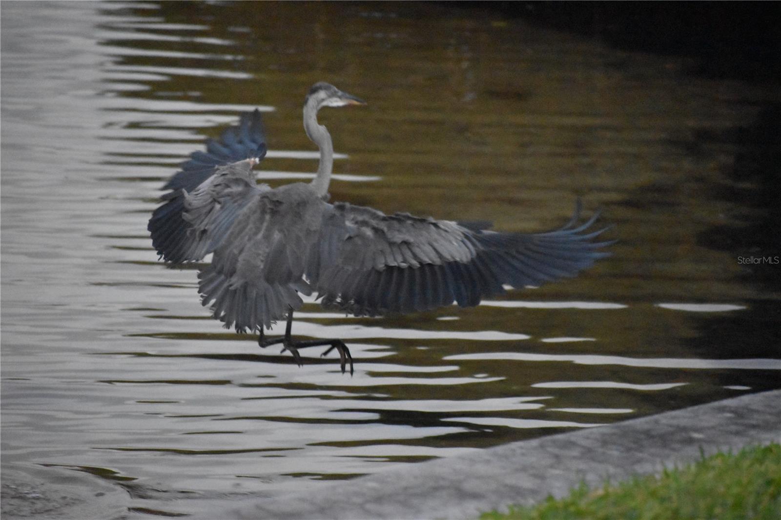 Image 35 of 51 For 3863 Catalina Drive