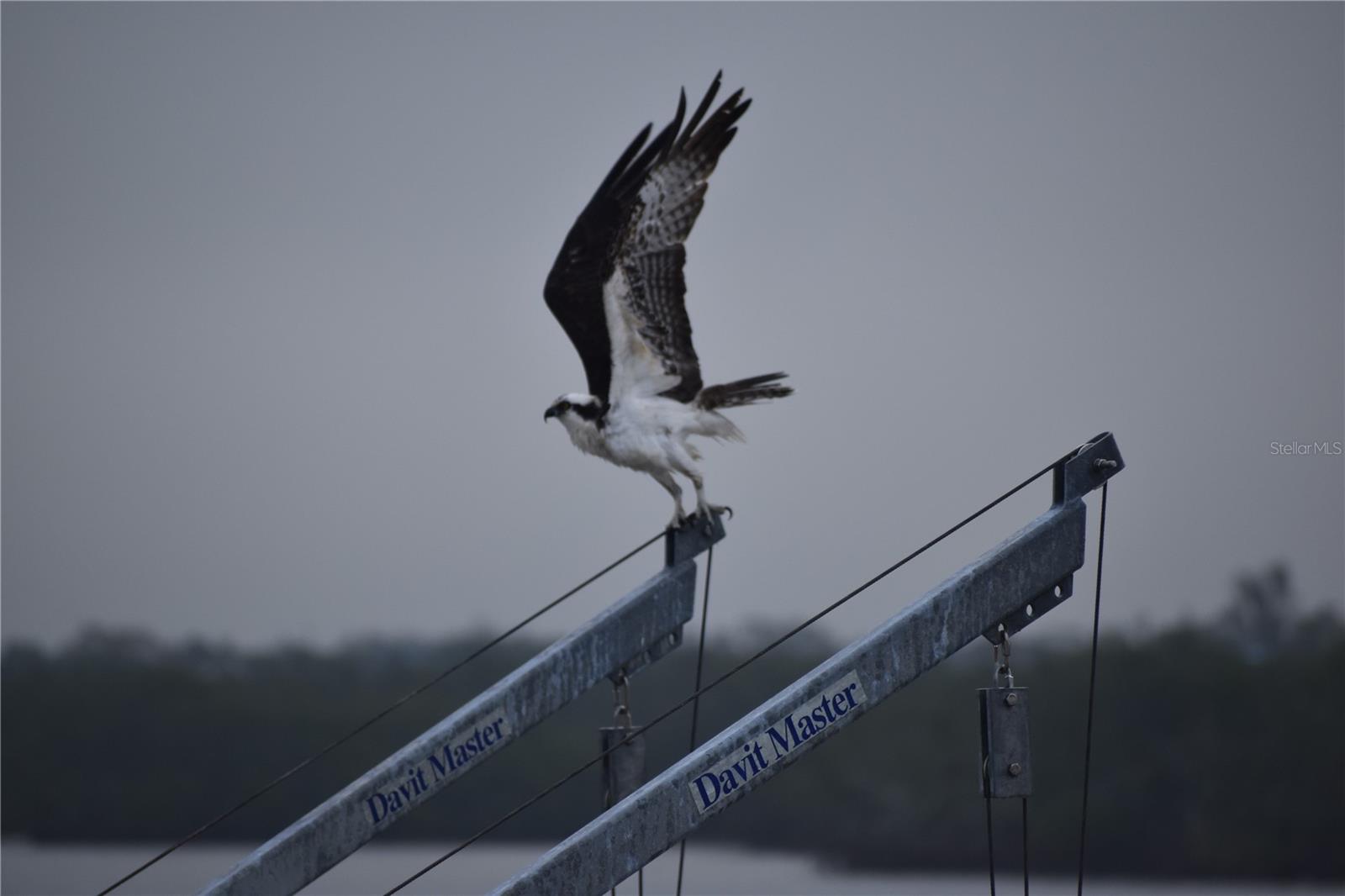 Image 41 of 51 For 3863 Catalina Drive