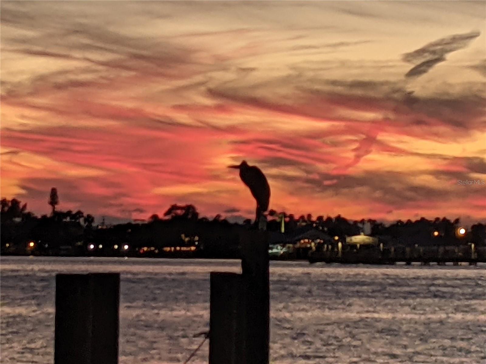 Image 42 of 51 For 3863 Catalina Drive