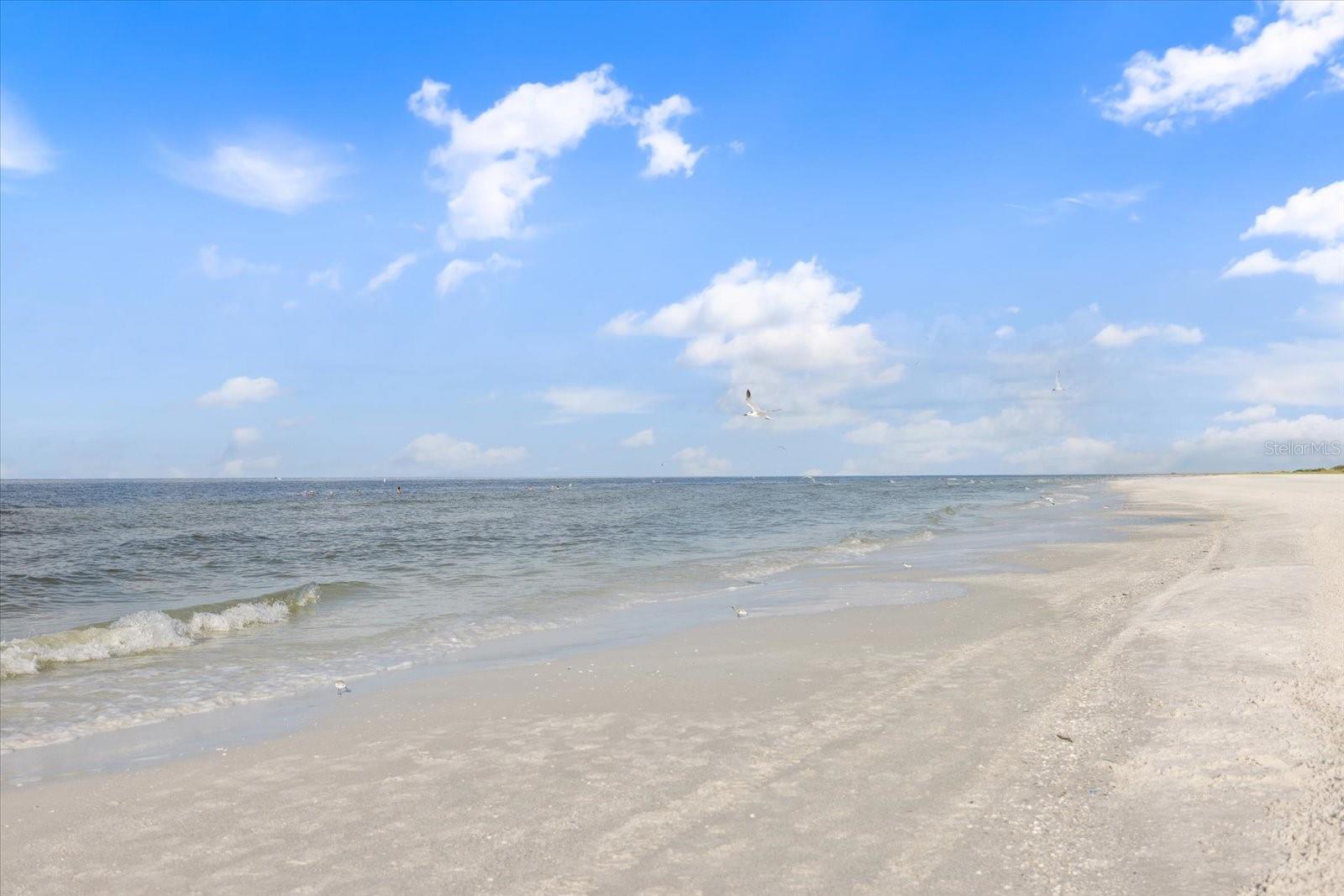 Image 66 of 70 For 520 Maraviya Boulevard