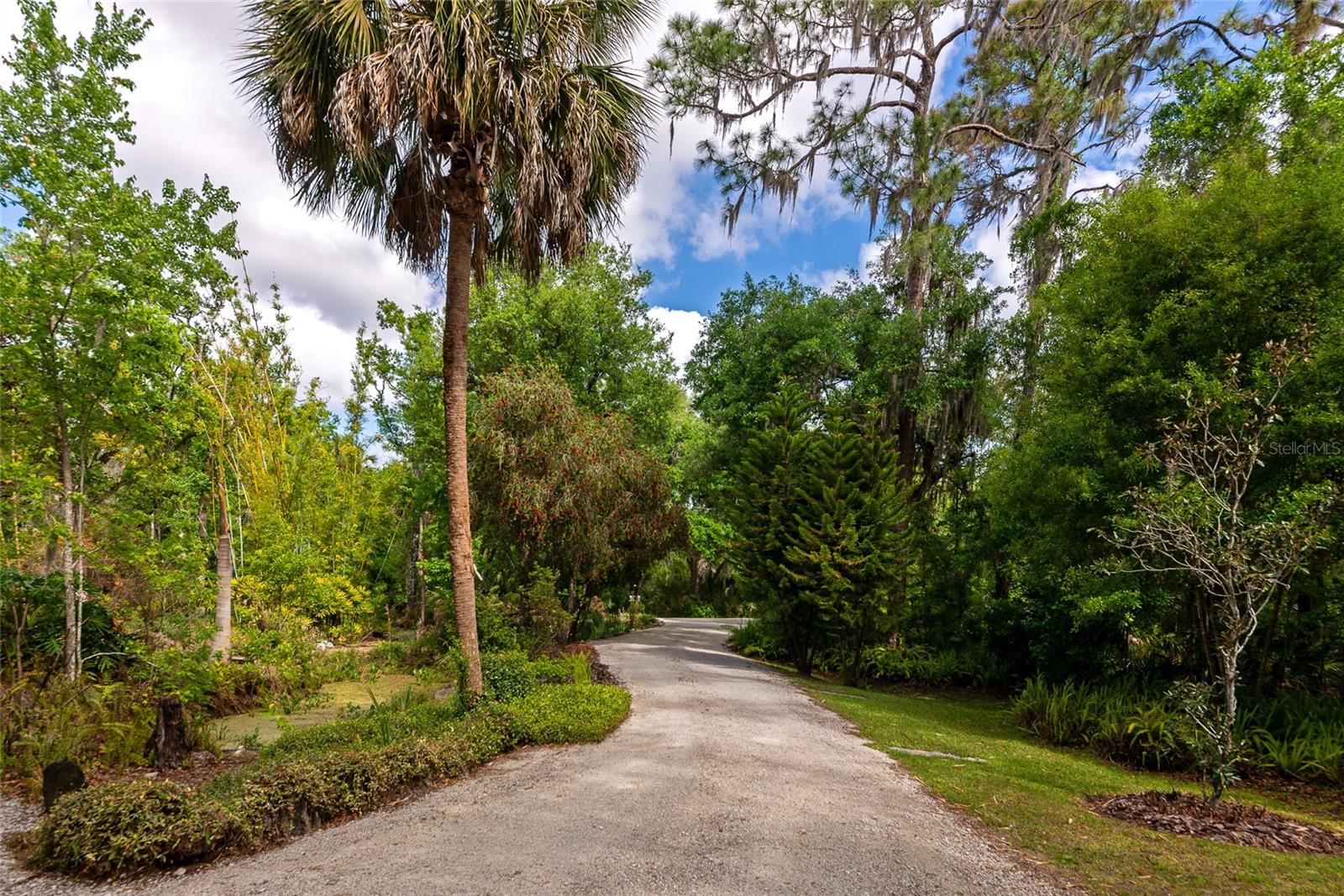 Image 47 of 71 For 3110 Turkey Walk Lane