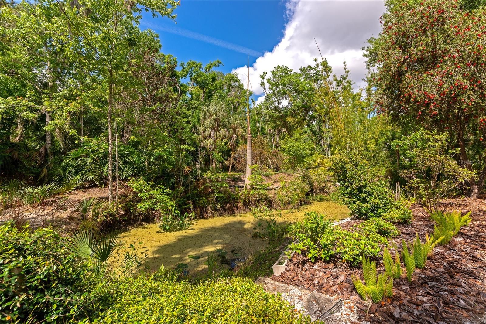 Image 67 of 71 For 3110 Turkey Walk Lane