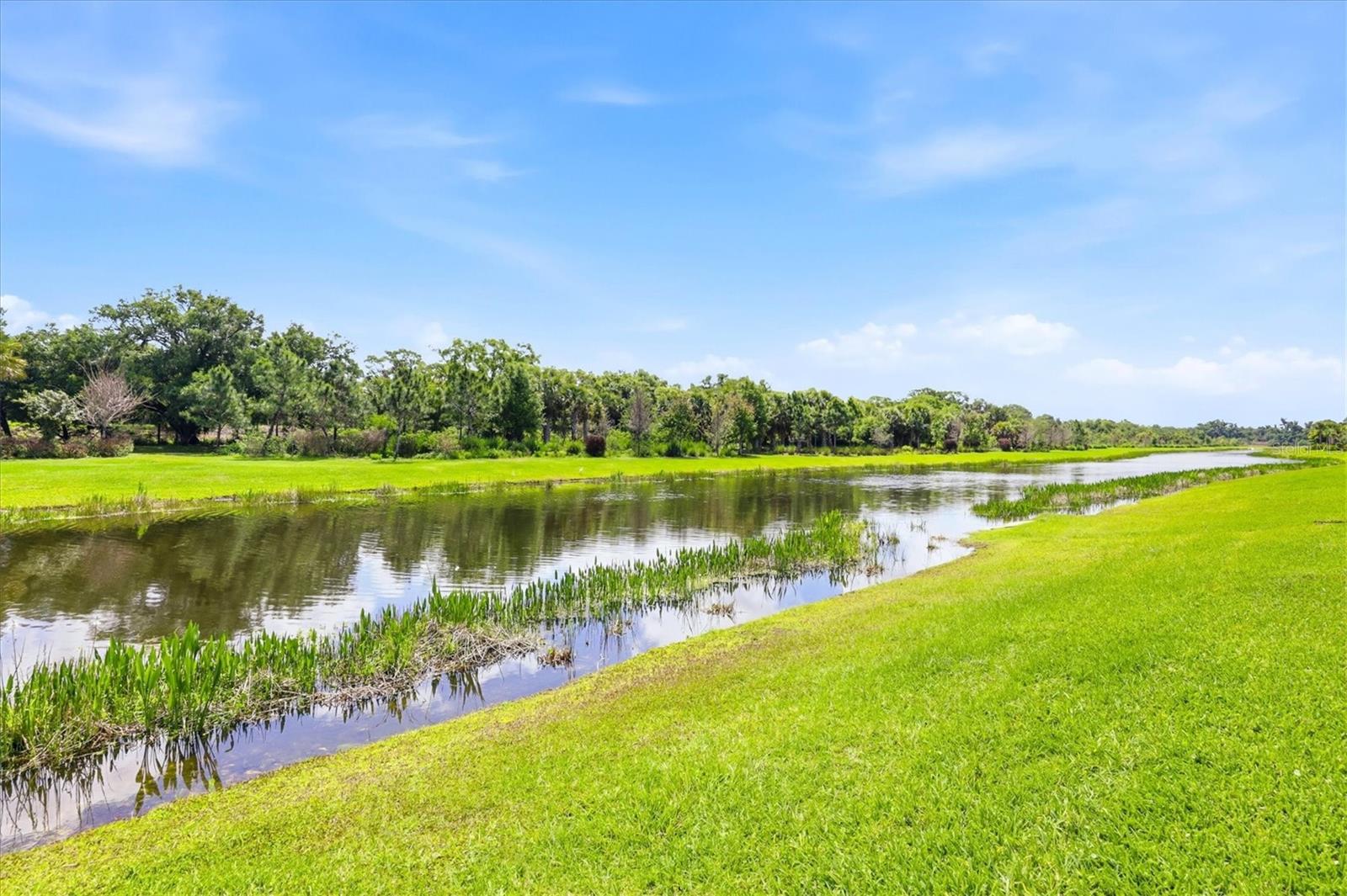 Image 54 of 88 For 9221 Bernini Place