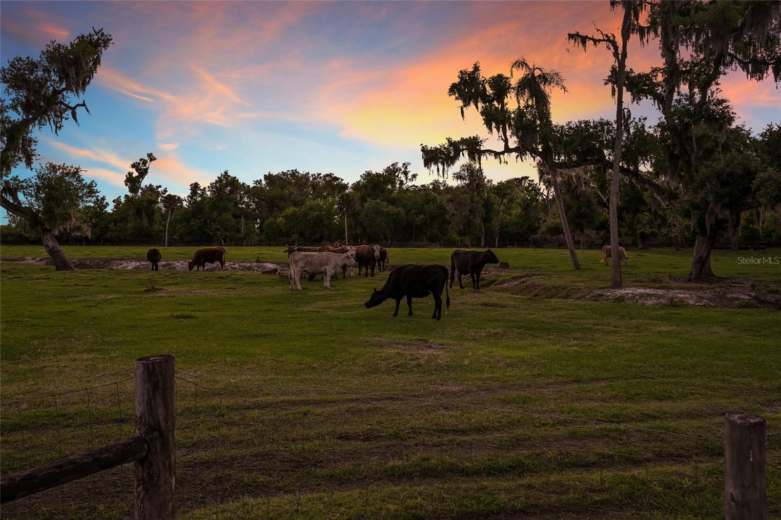 Image 60 of 68 For 30854 Singletary Road