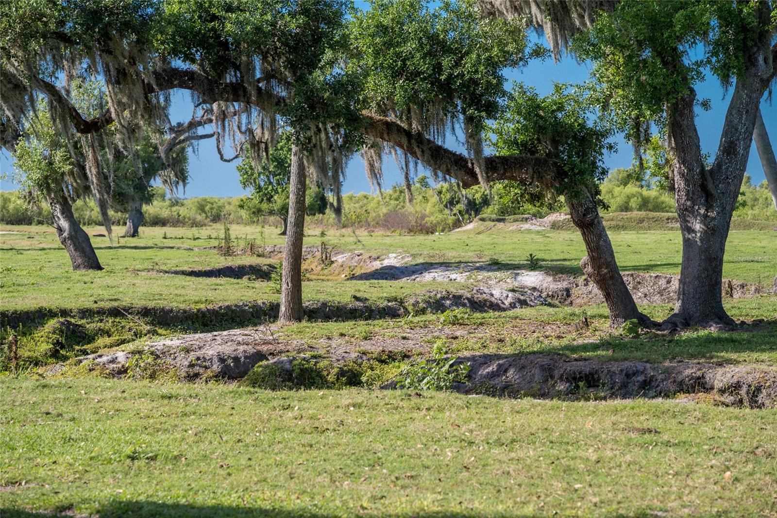 Image 62 of 68 For 30854 Singletary Road