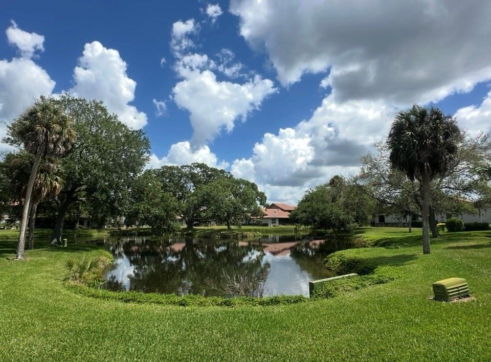 Image 29 of 30 For 3862 Wilshire Circle W 107