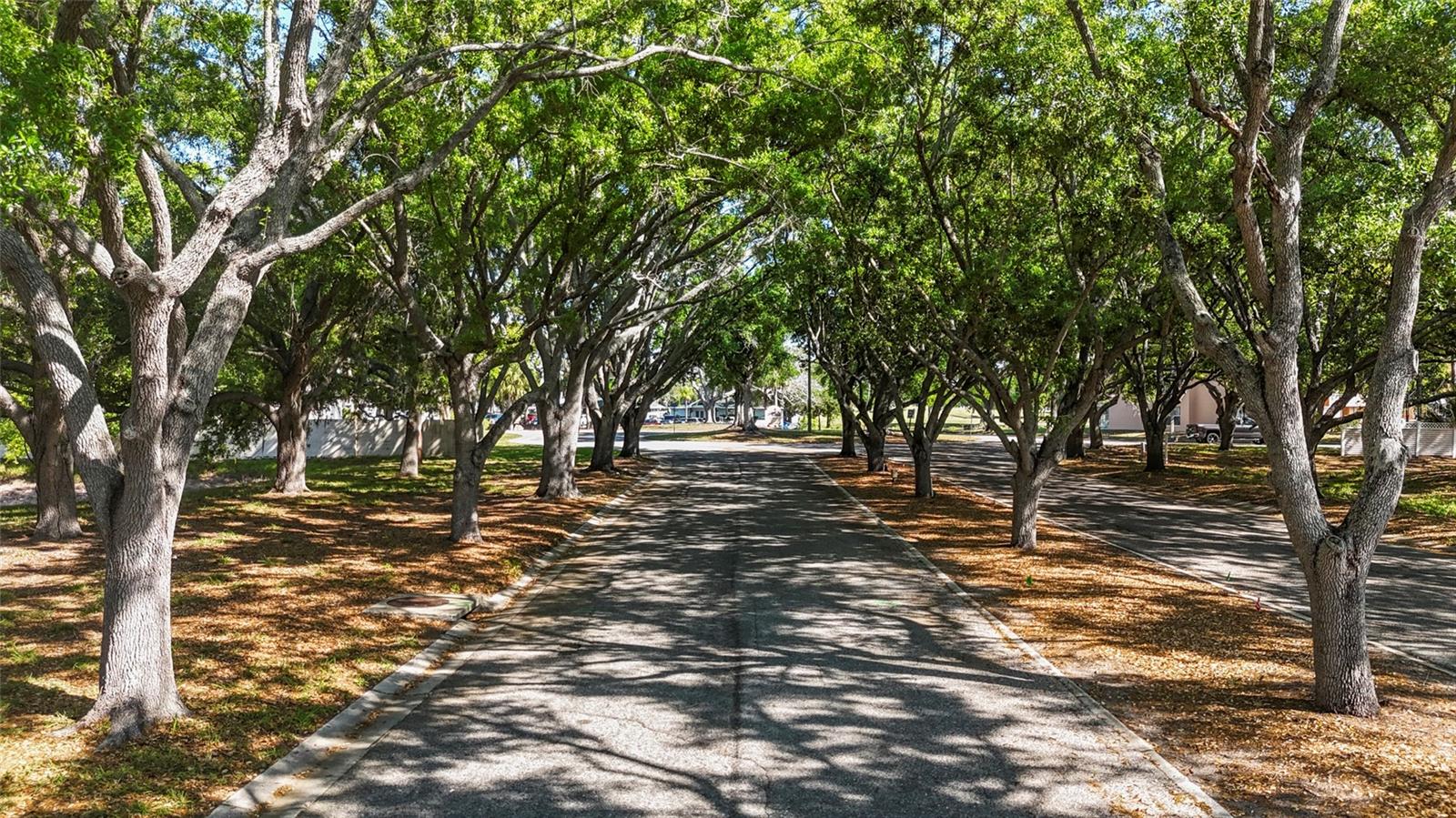 Image 3 of 59 For 4210 Ironwood Circle 308j