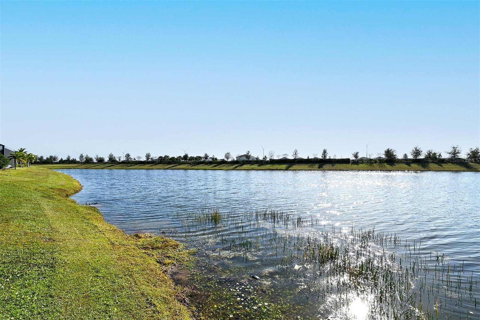 Image 48 of 64 For 17022 Cresswind Terrace