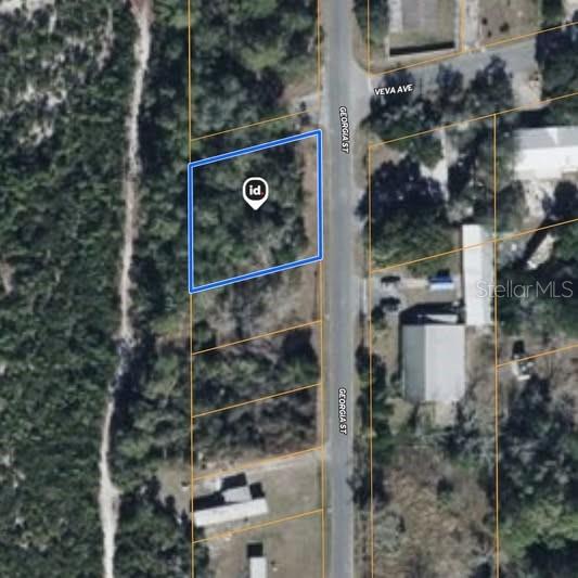 Details for 15-17-28-0200-009-00100 Georgia Street, PAISLEY, FL 32767