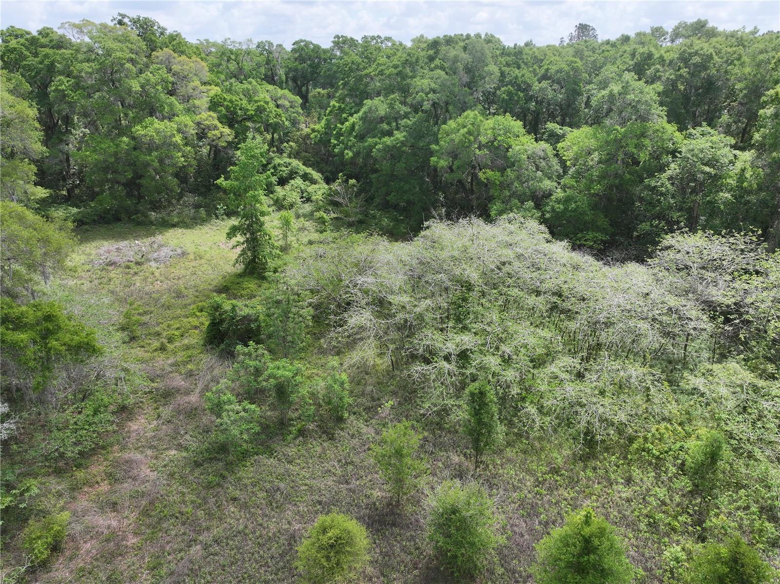 Image 4 of 19 For 0 38th Street