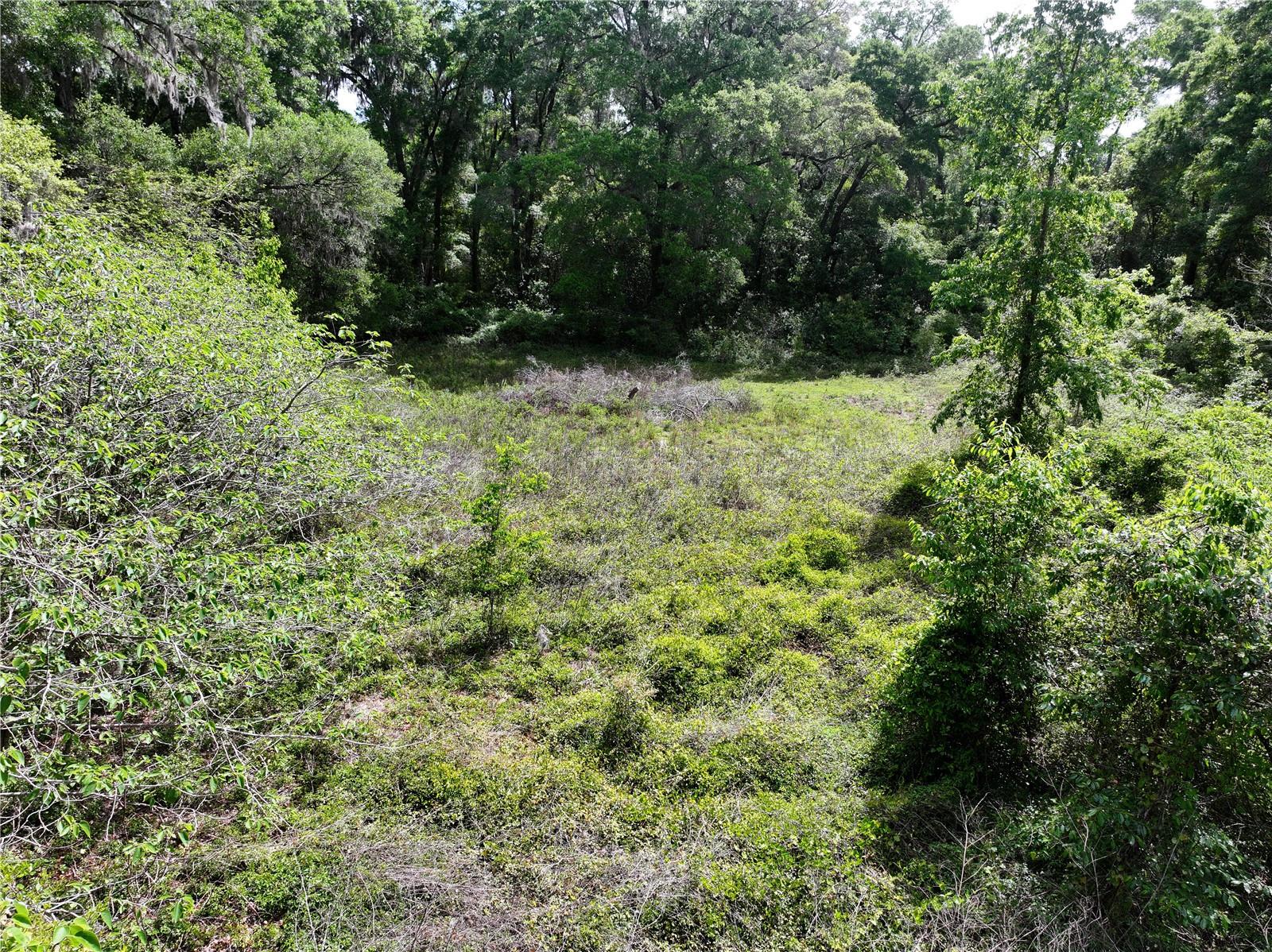 Image 7 of 19 For 0 38th Street