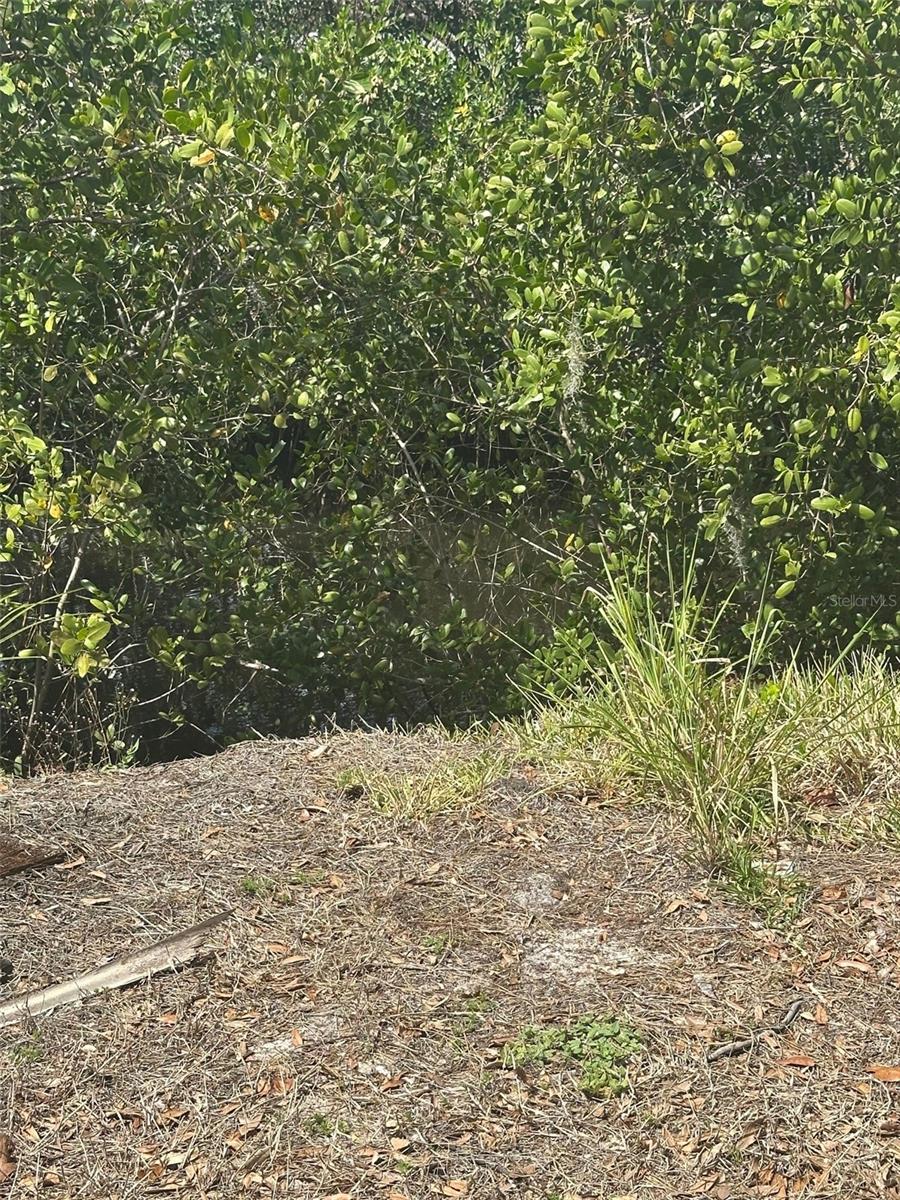 Image 2 of 2 For Riverview Drive