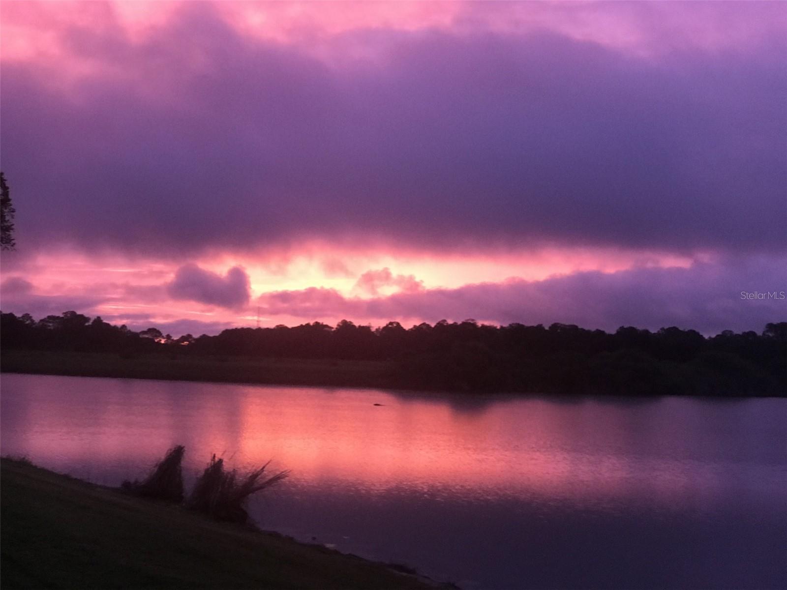 Image 45 of 59 For 2536 Marton Oak Boulevard