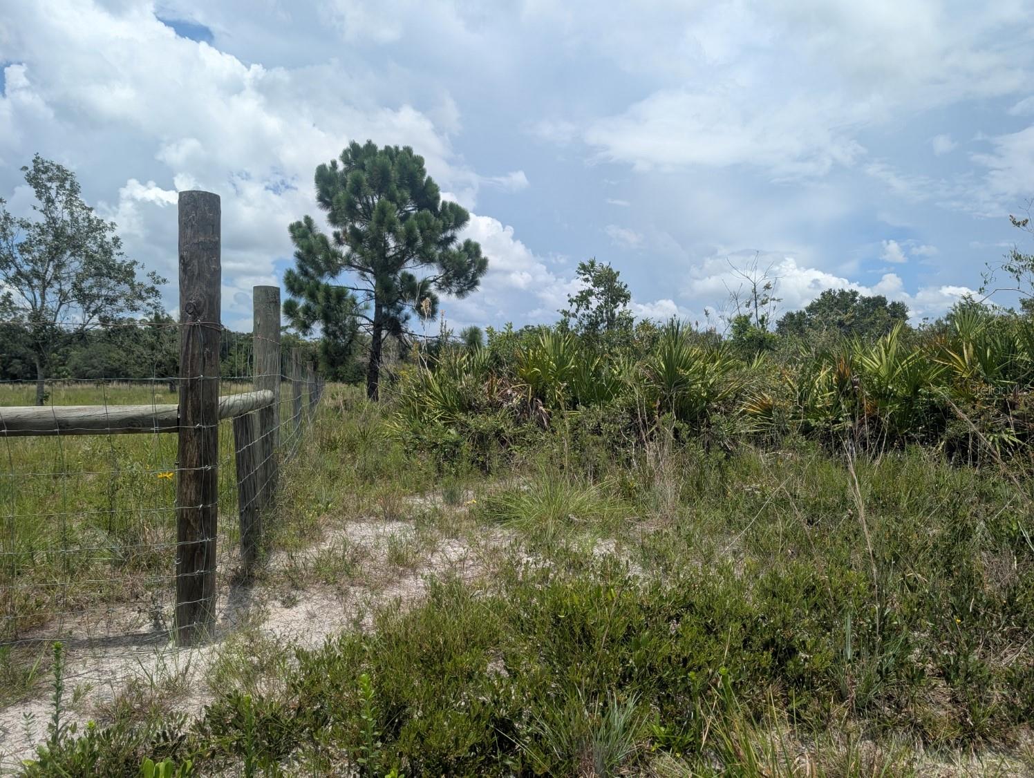 Image 22 of 25 For 18235 250th Street