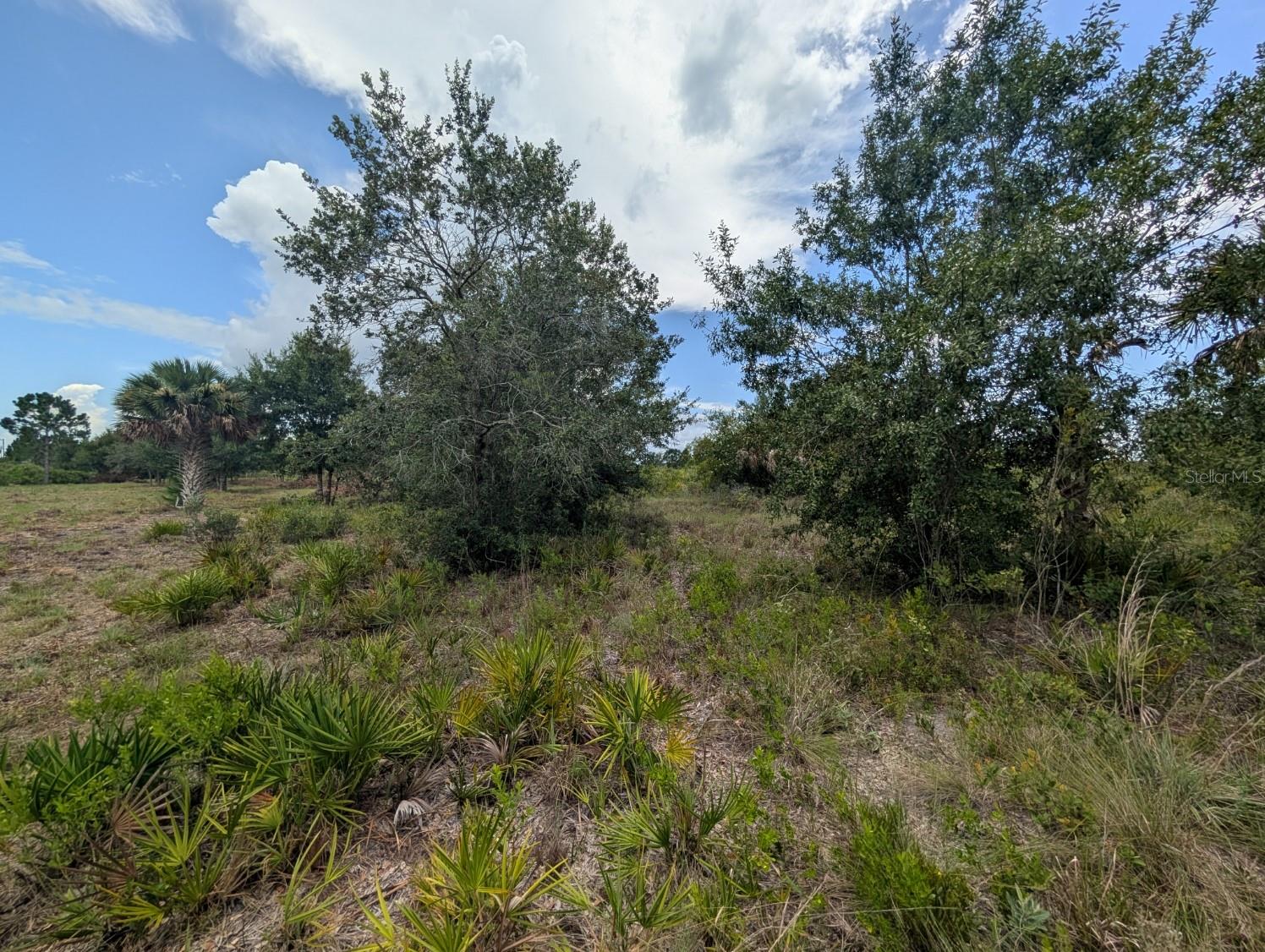 Image 23 of 25 For 18235 250th Street