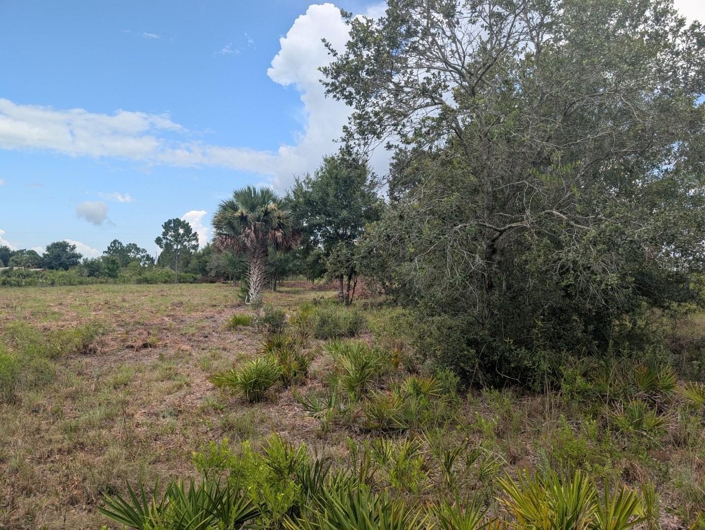 Image 24 of 25 For 18235 250th Street