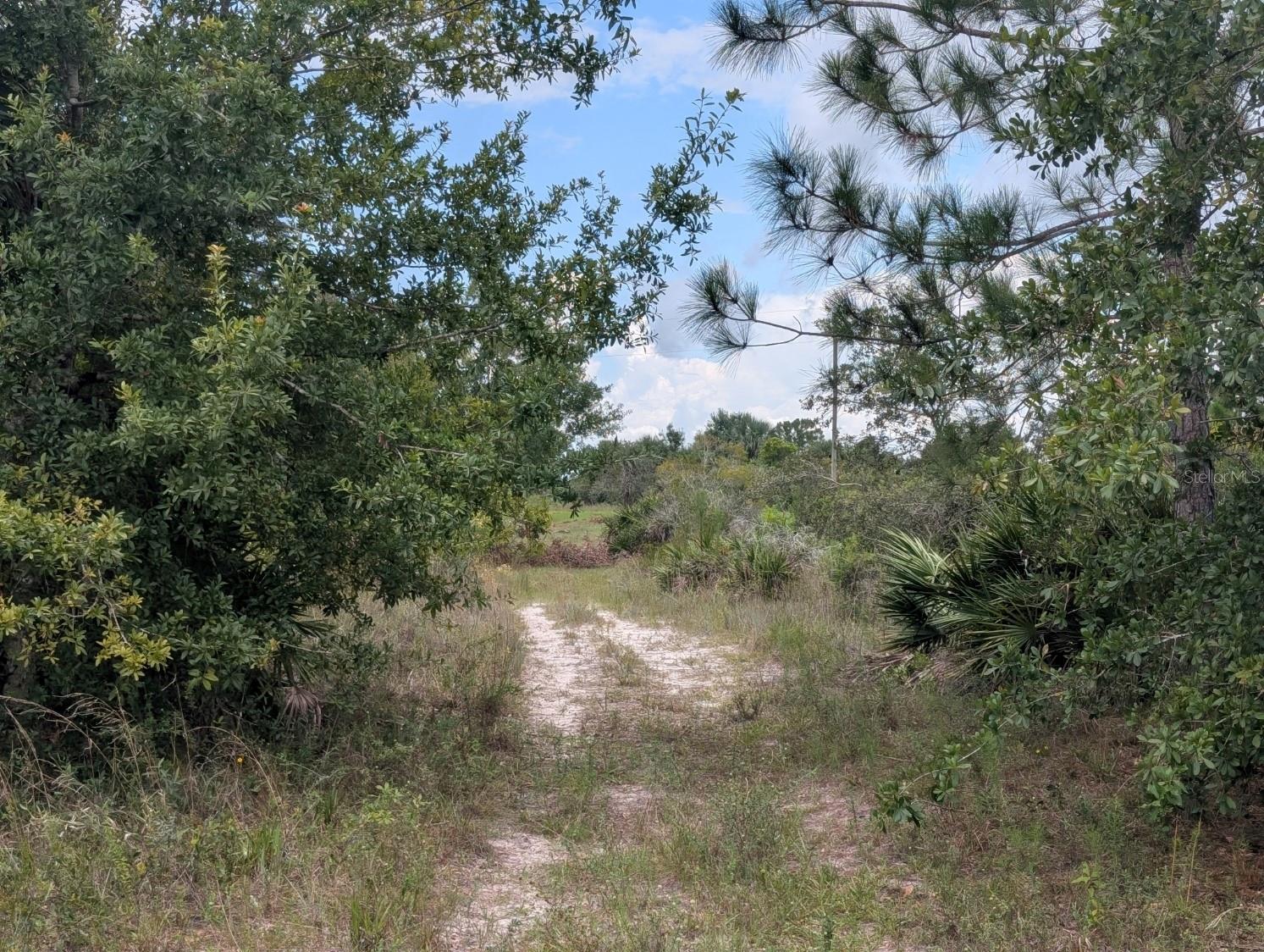 Image 25 of 25 For 18235 250th Street