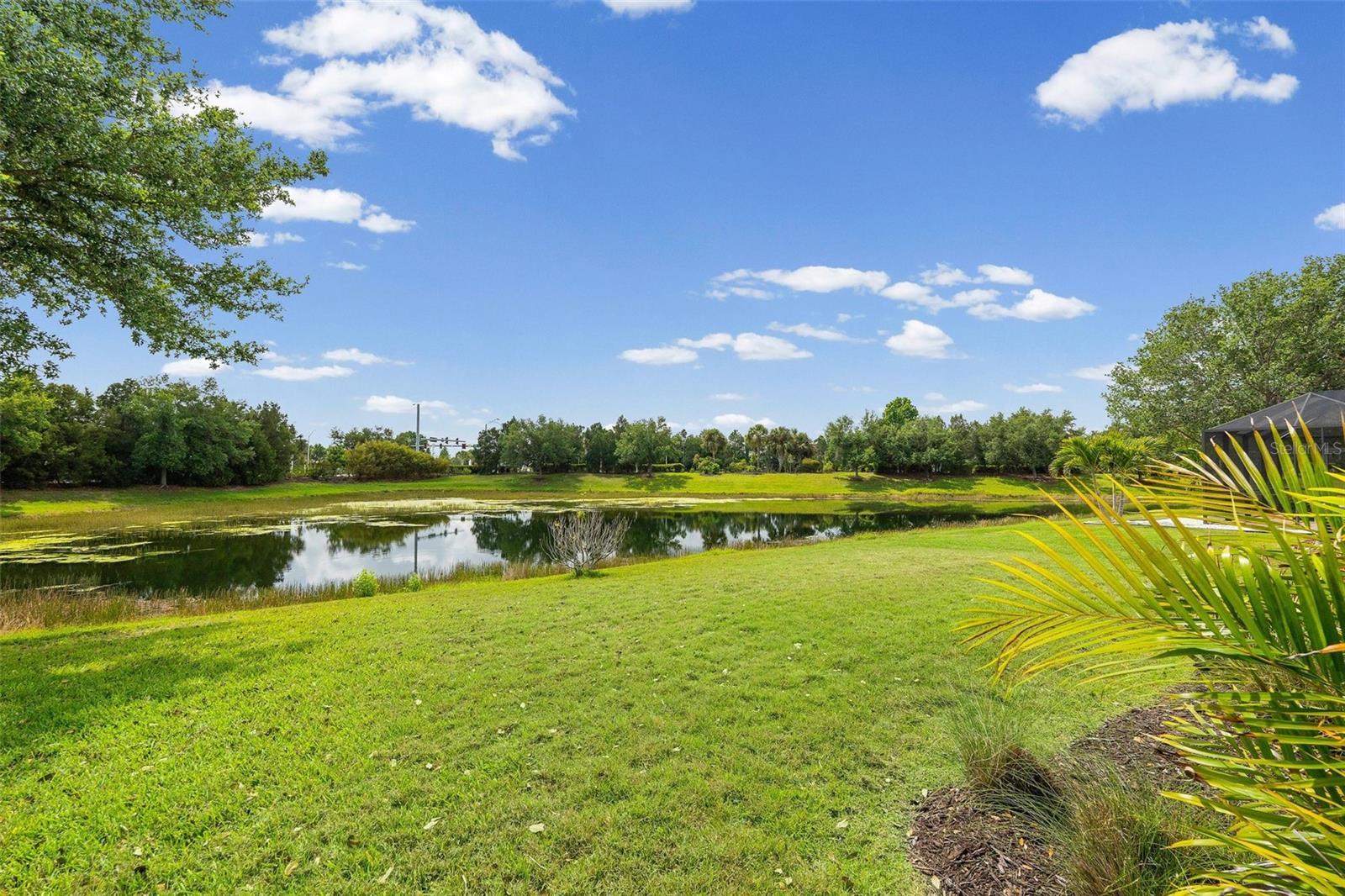 Image 49 of 61 For 11904 Forest Park Circle