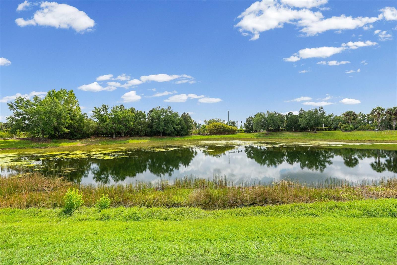 Image 50 of 61 For 11904 Forest Park Circle