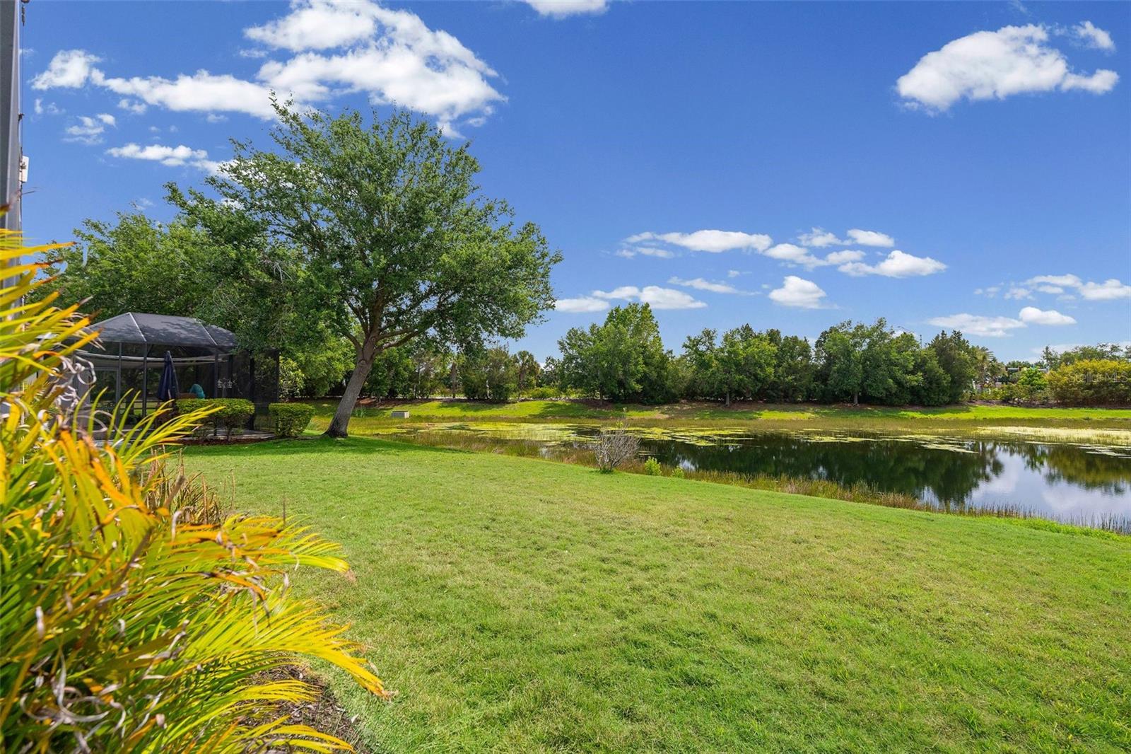 Image 53 of 61 For 11904 Forest Park Circle