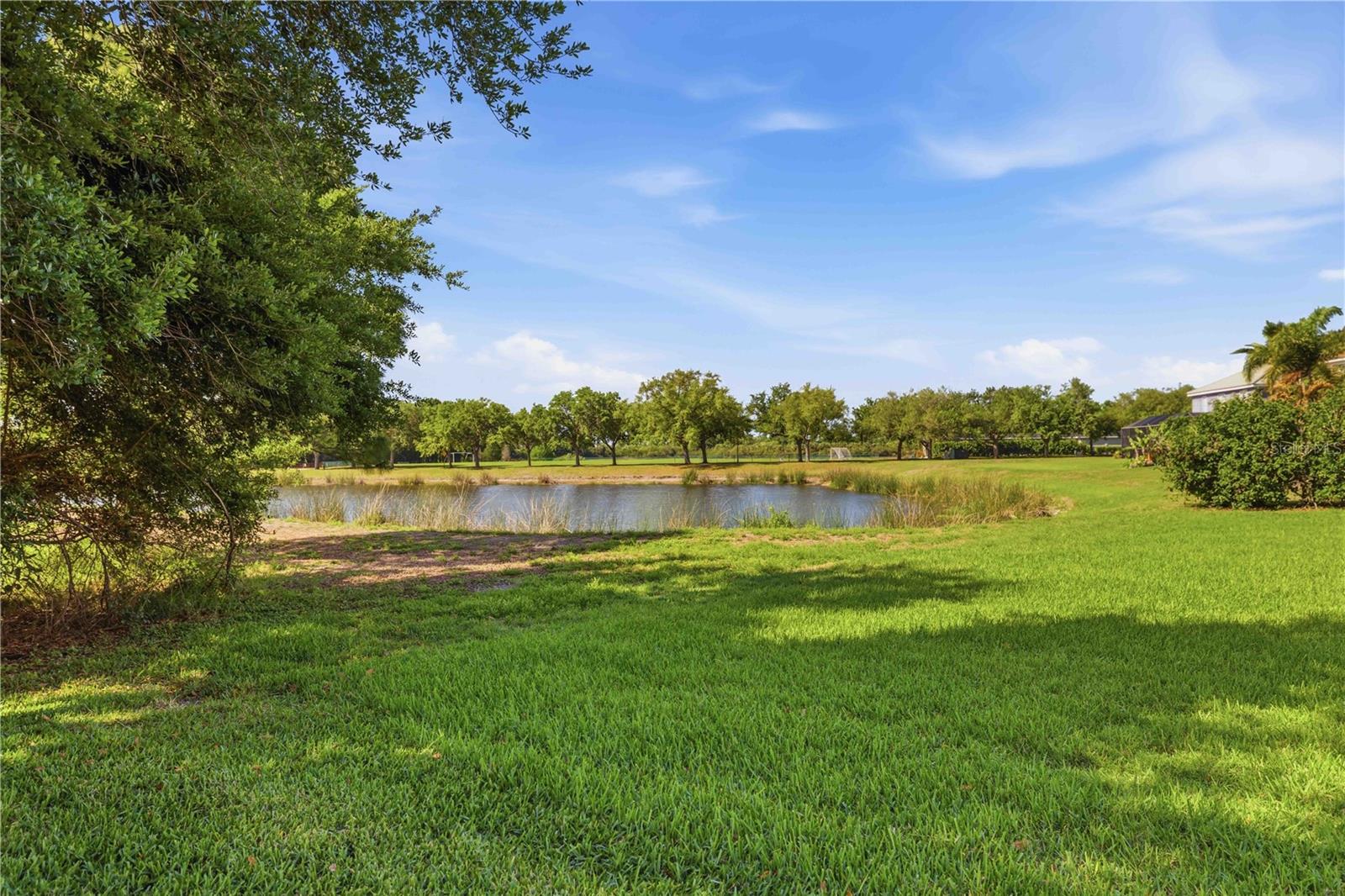 Image 44 of 70 For 12563 Natureview Circle