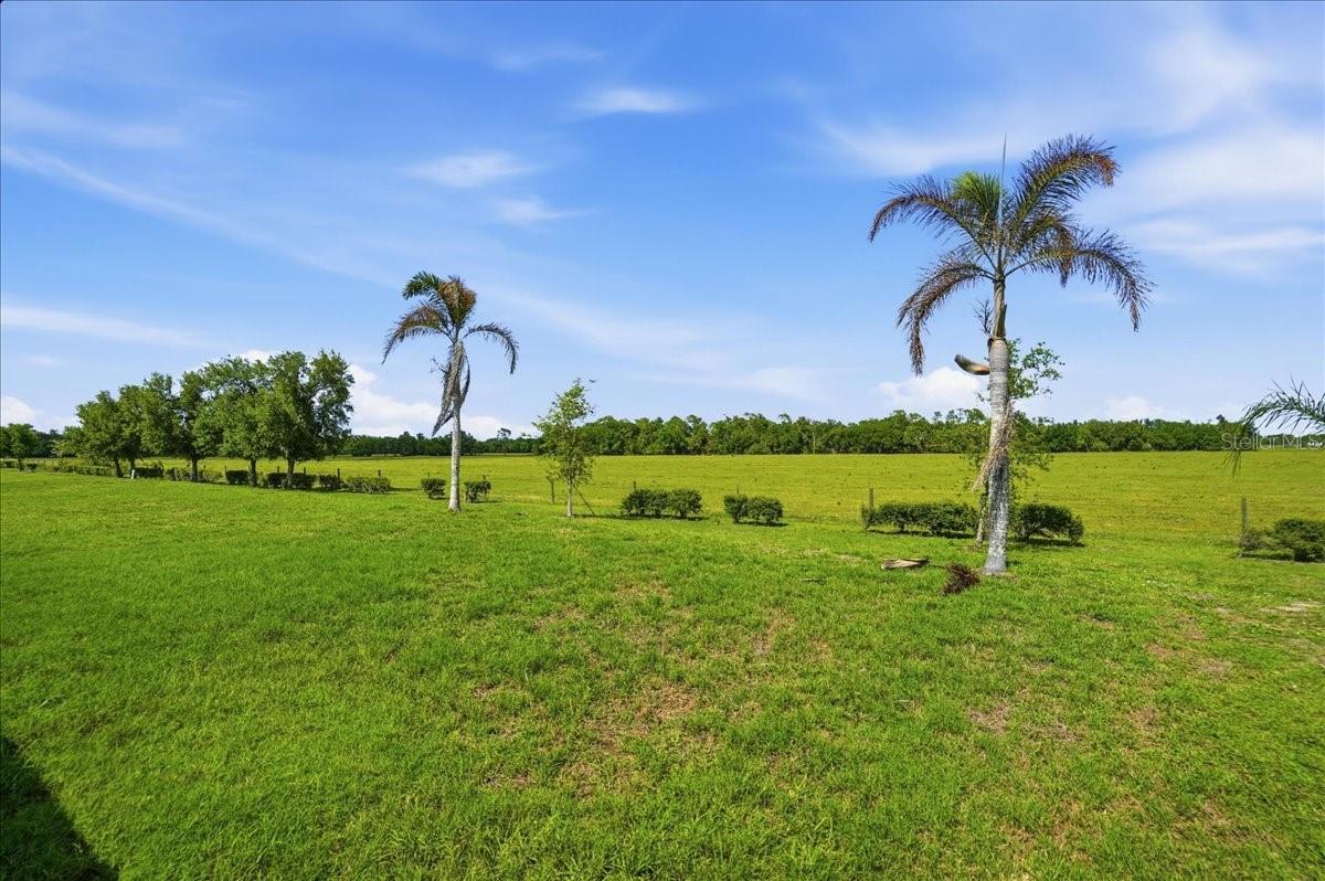 Image 18 of 50 For 15769 High Bell Place