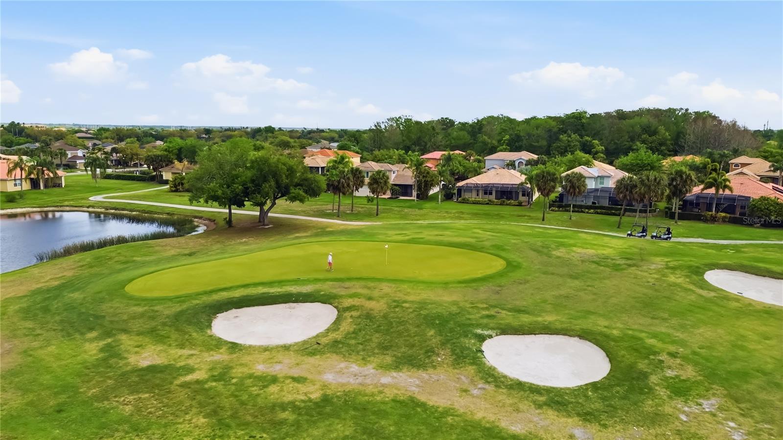 Image 52 of 70 For 226 Heritage Isles Way