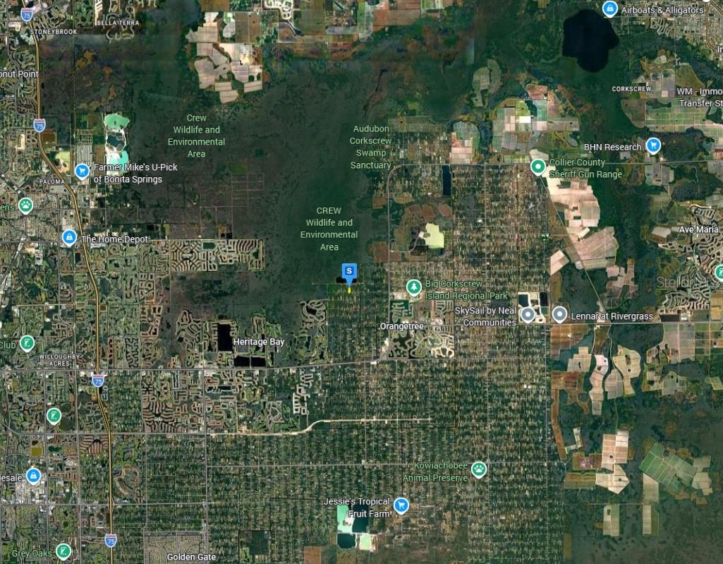 Image 4 of 6 For 365 41st Ave Nw