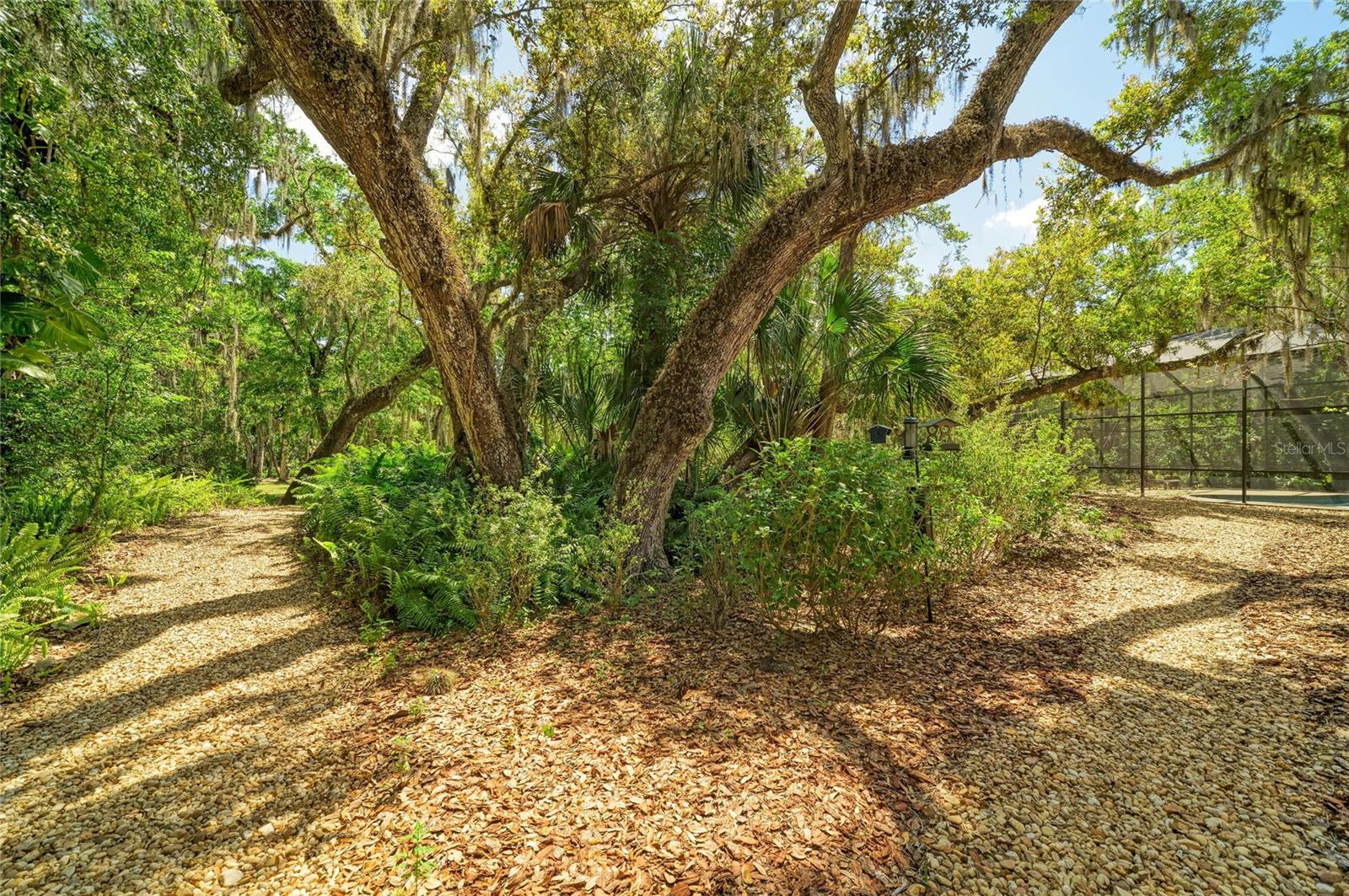 Image 67 of 77 For 3705 62nd Street E