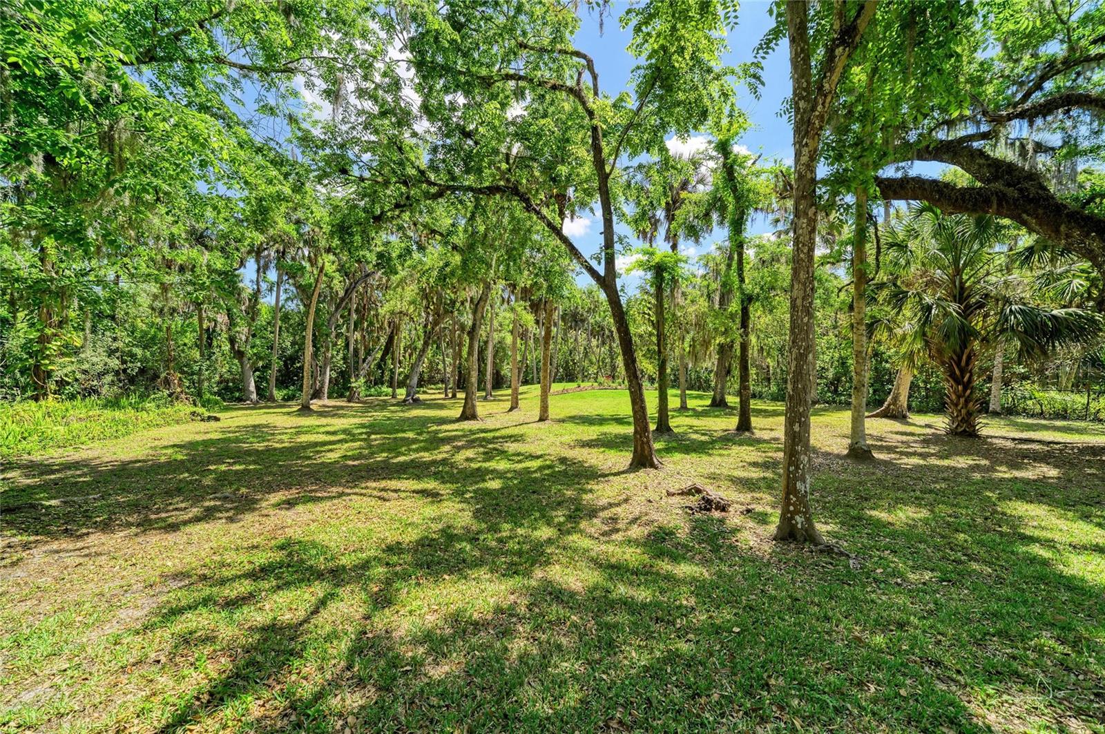 Image 70 of 77 For 3705 62nd Street E