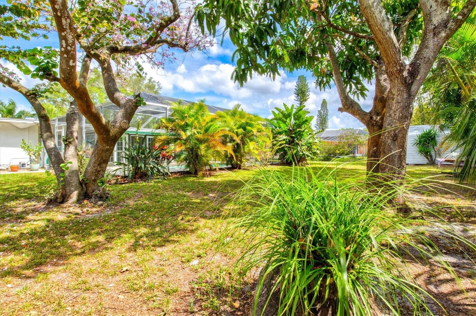 Image 57 of 64 For 214 Gaines Avenue