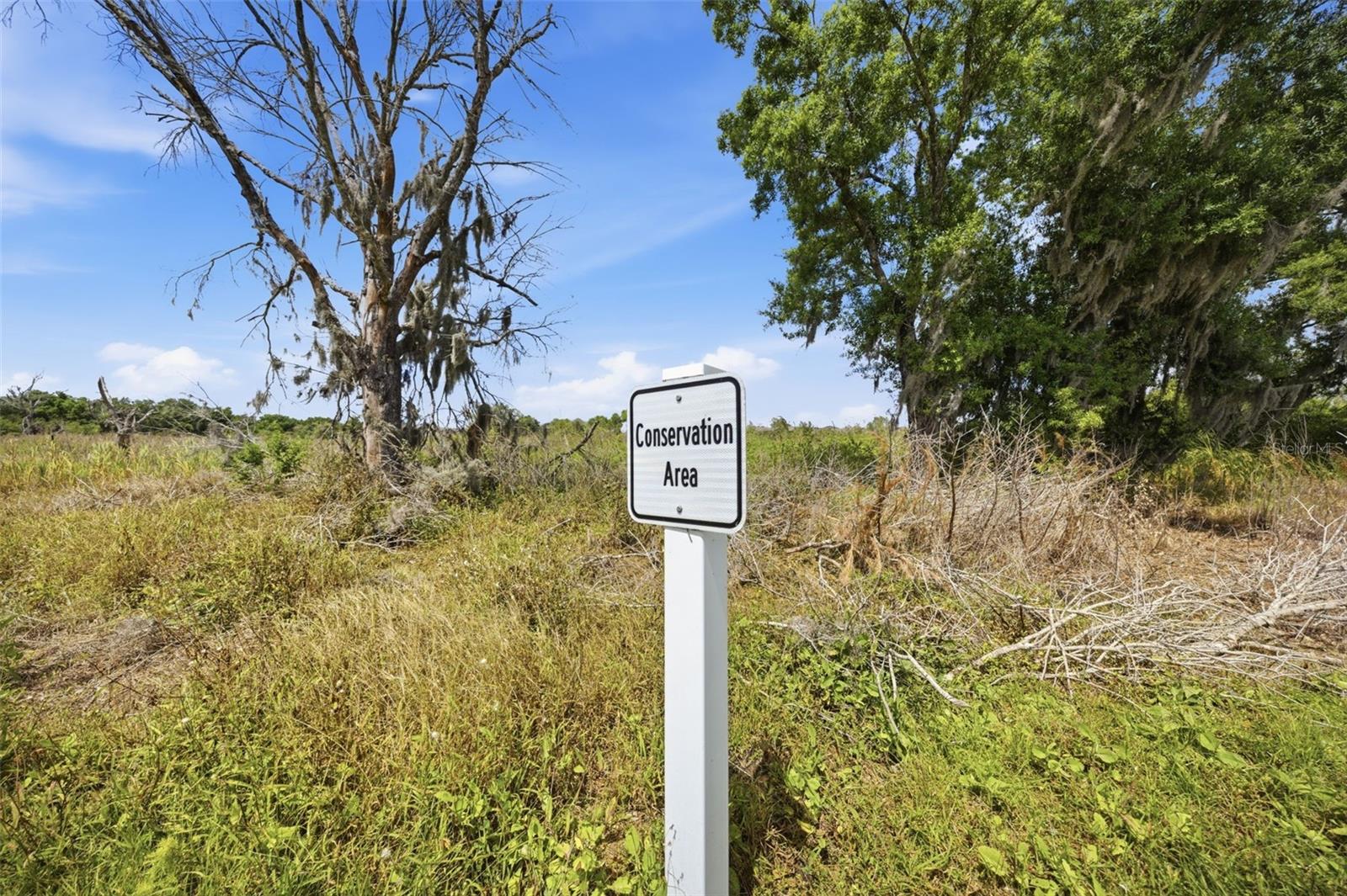 Image 57 of 63 For 18026 Fattoria Terrace