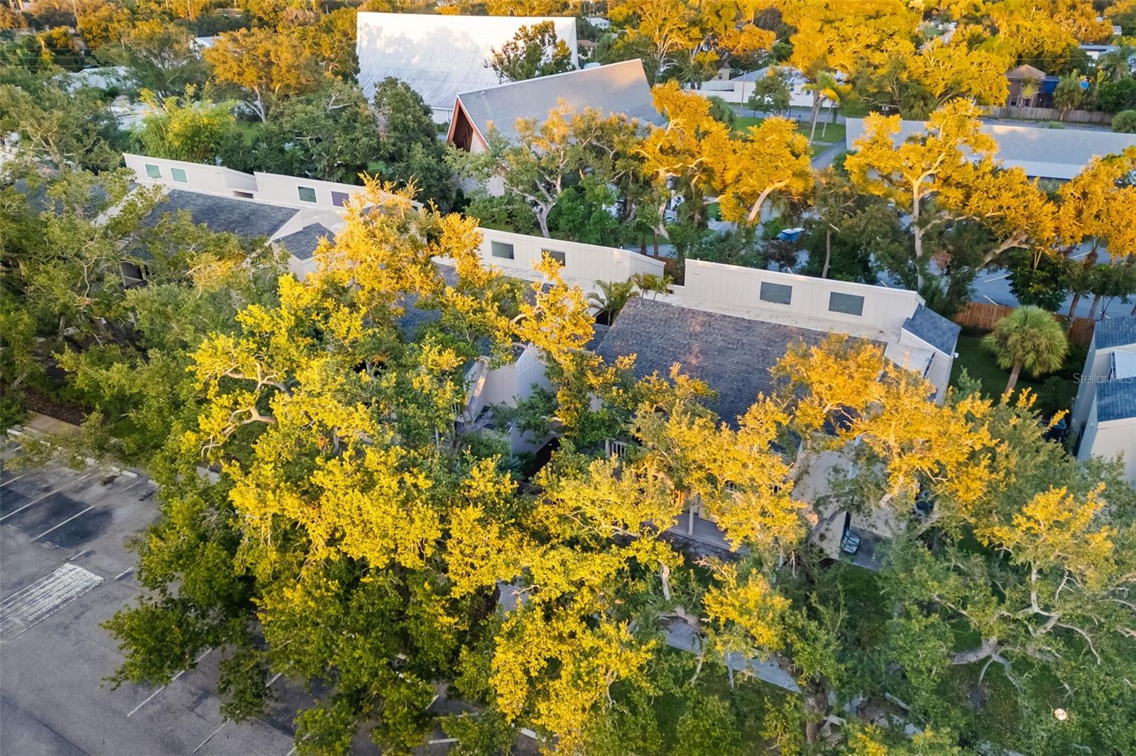 Image 41 of 66 For 2224 Bahia Vista Street E1