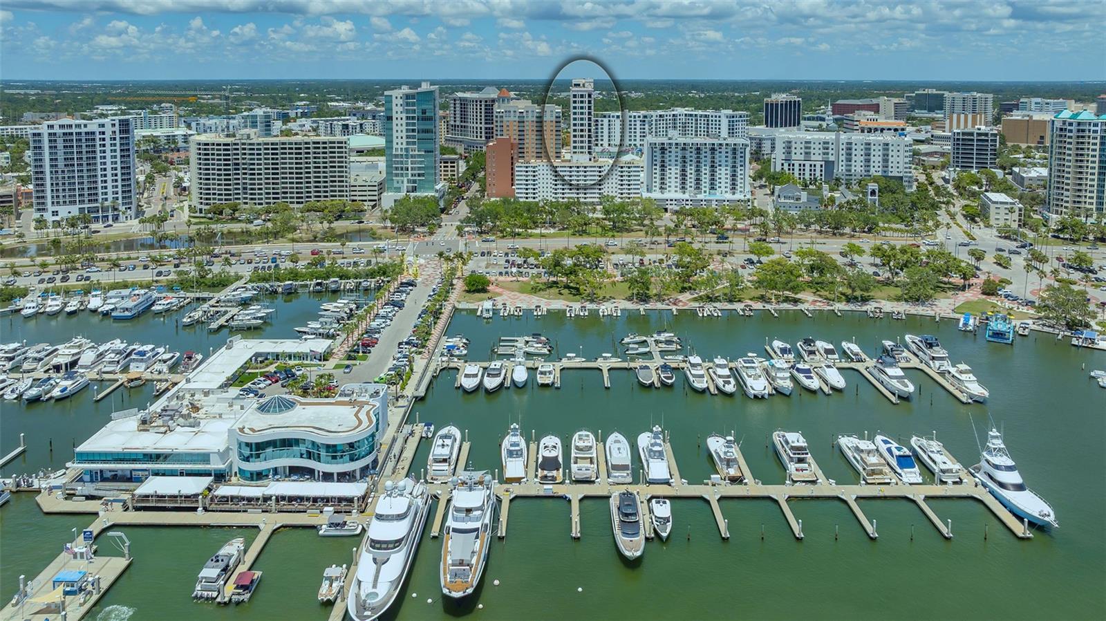 Image 79 of 88 For 33 Palm Avenue 1303