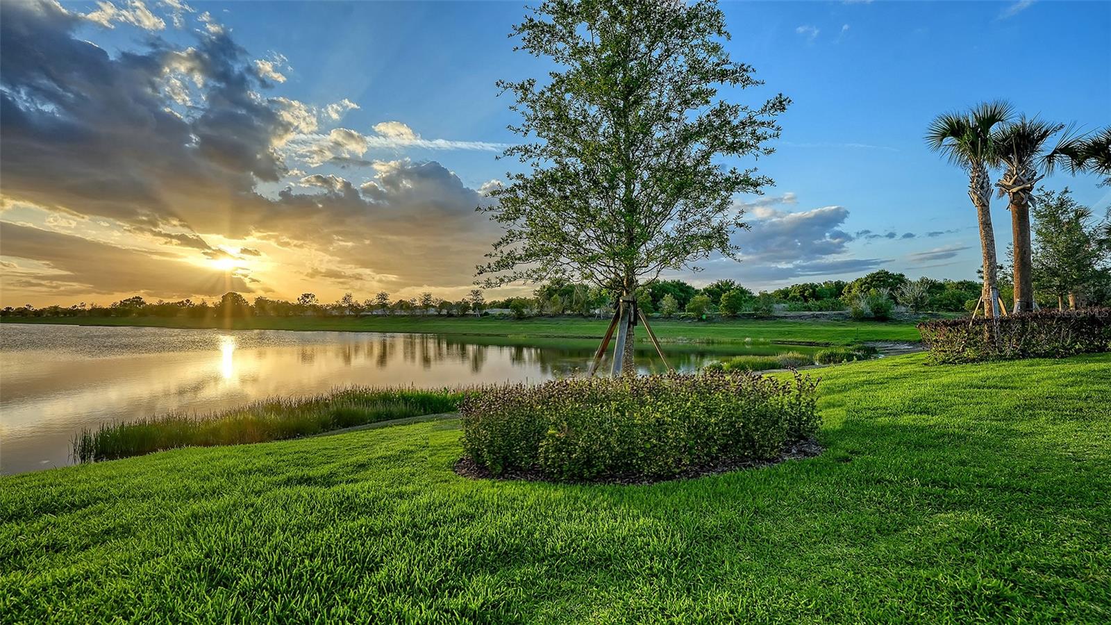 Listing photo id 69 for 4513 Mondrian Court