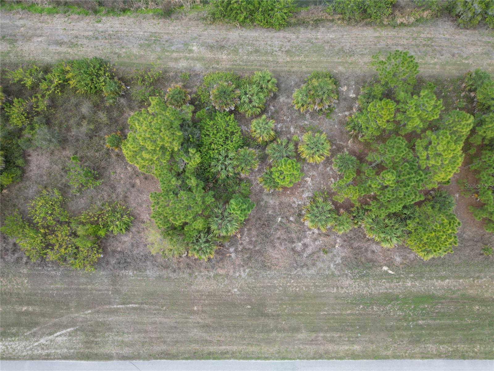 Image 3 of 7 For S Raintree Boulevard