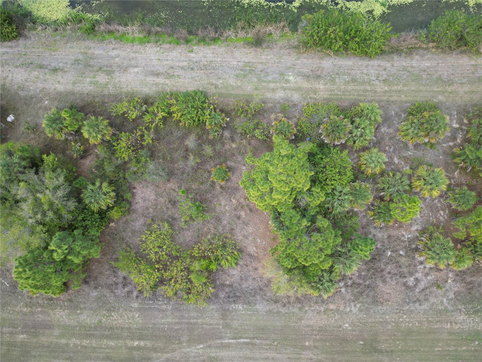 Image 2 of 6 For S Raintree Boulevard