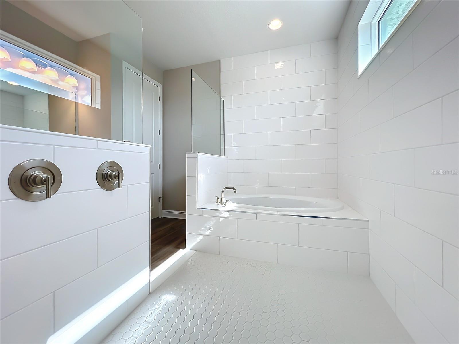 Image 38 of 70 For 10006 Degas Terrace