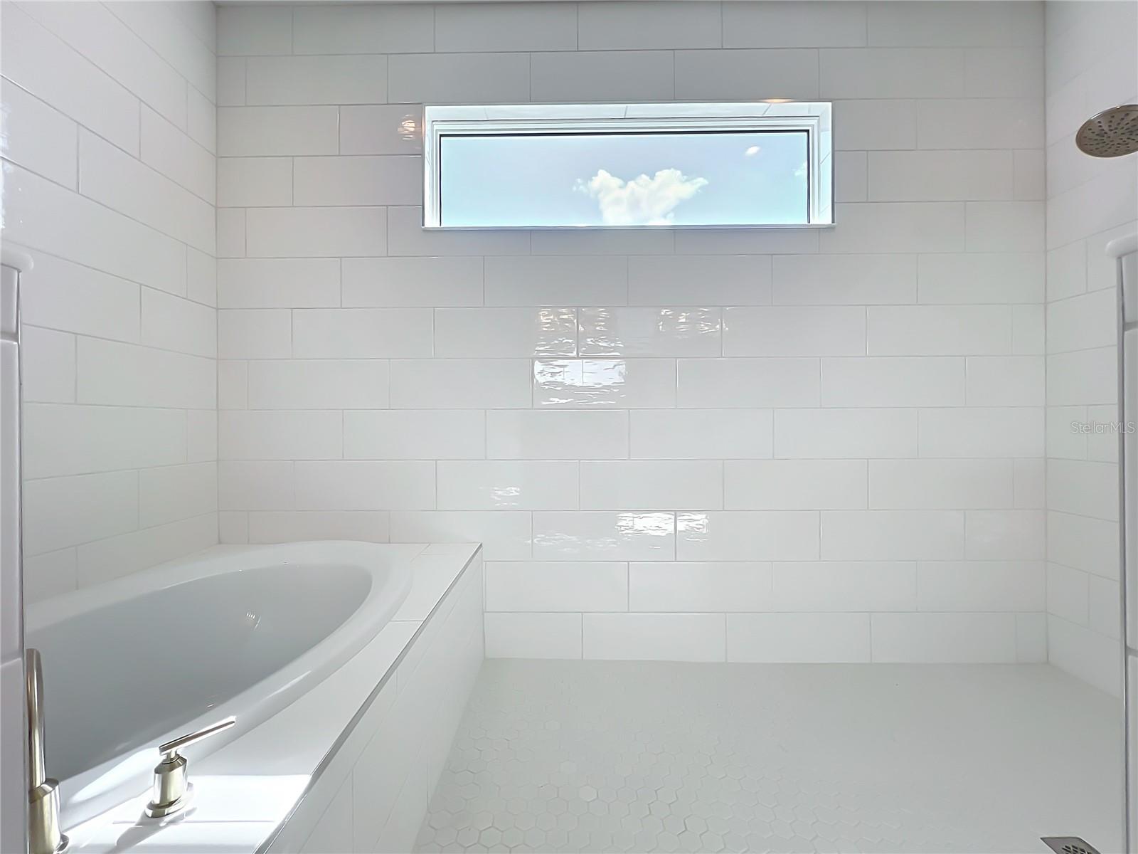 Image 39 of 70 For 10006 Degas Terrace